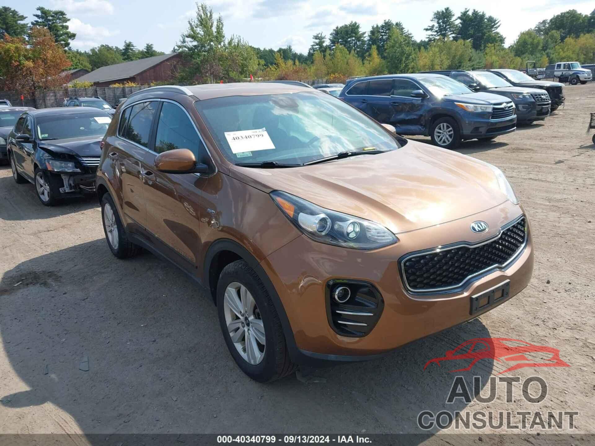 KIA SPORTAGE 2019 - KNDPMCAC6K7554019