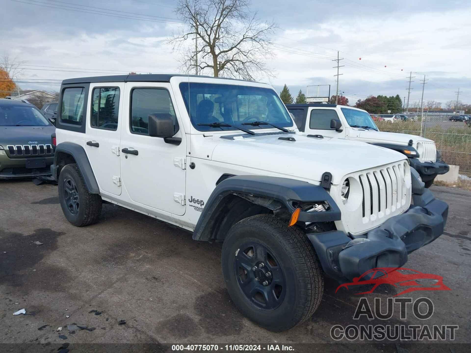 JEEP WRANGLER UNLIMITED 2019 - 1C4HJXDG3KW613097
