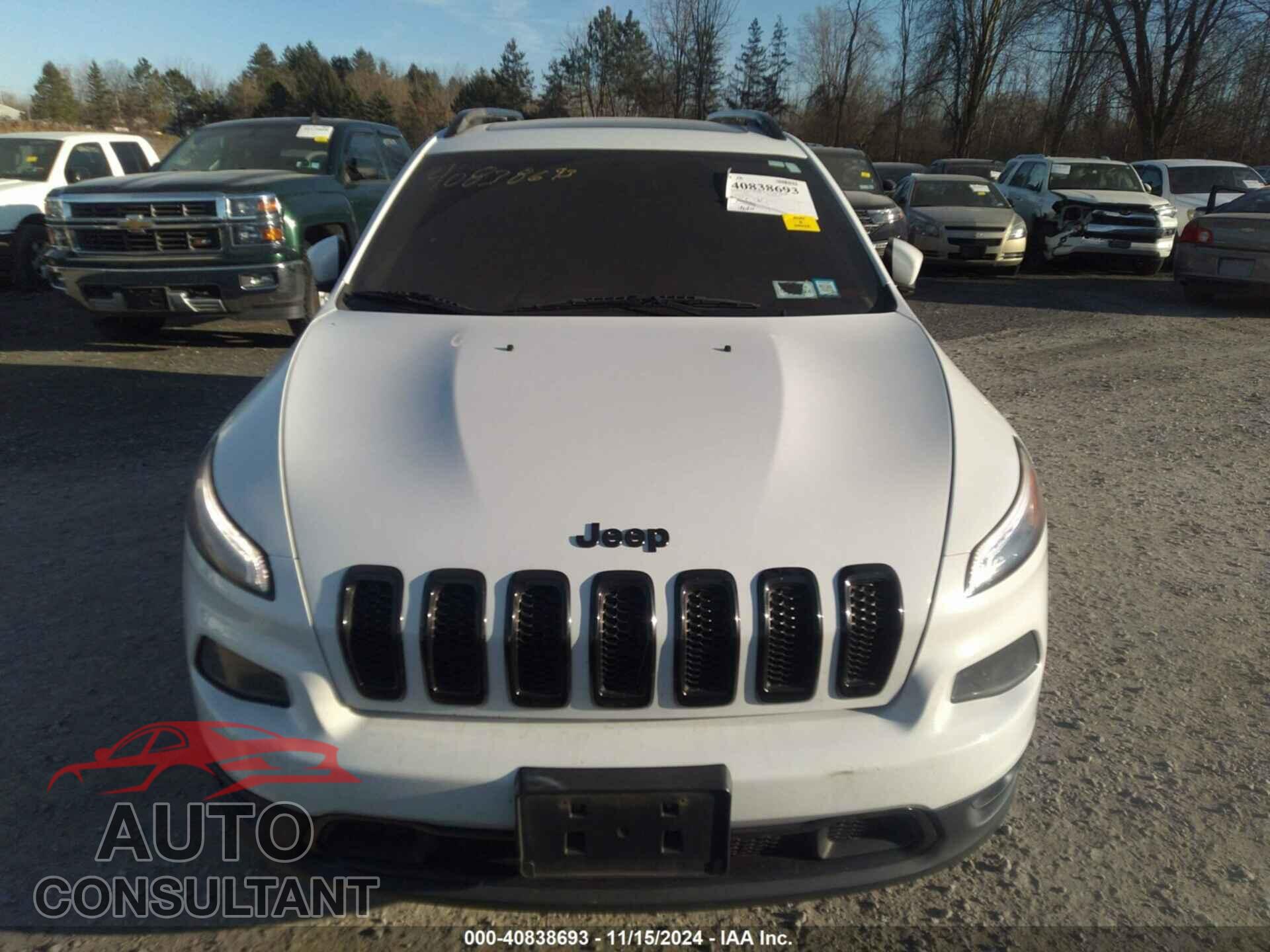 JEEP CHEROKEE 2016 - 1C4PJMCS3GW166326