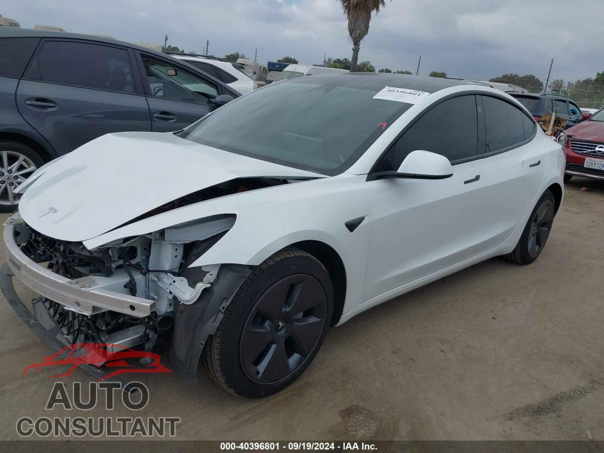 TESLA MODEL 3 2023 - 5YJ3E1EA2PF616607