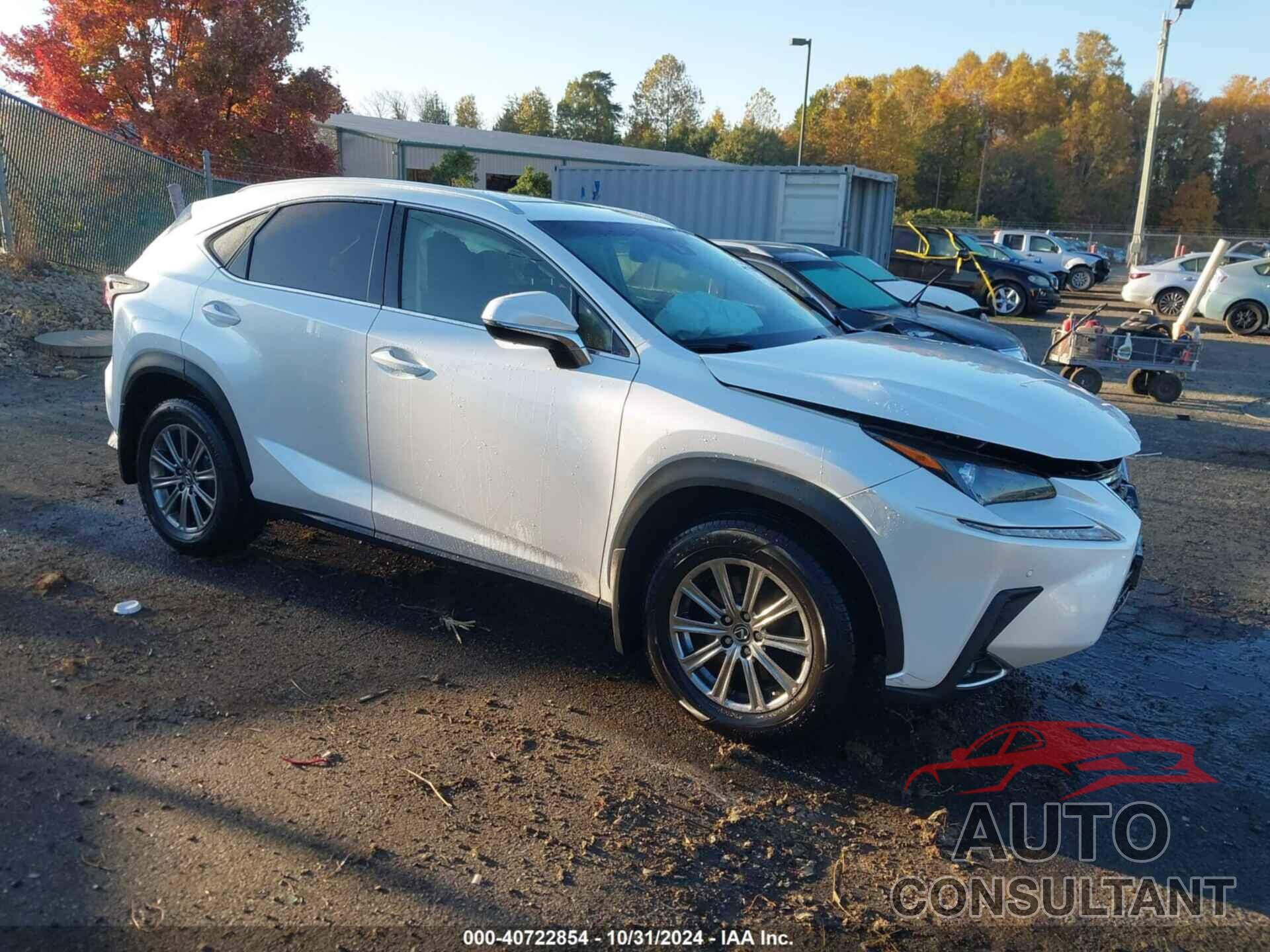 LEXUS NX 300 2018 - JTJBARBZXJ2160668