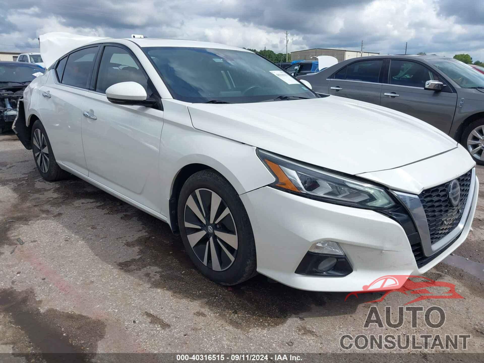 NISSAN ALTIMA 2019 - 1N4BL4DV9KN308258