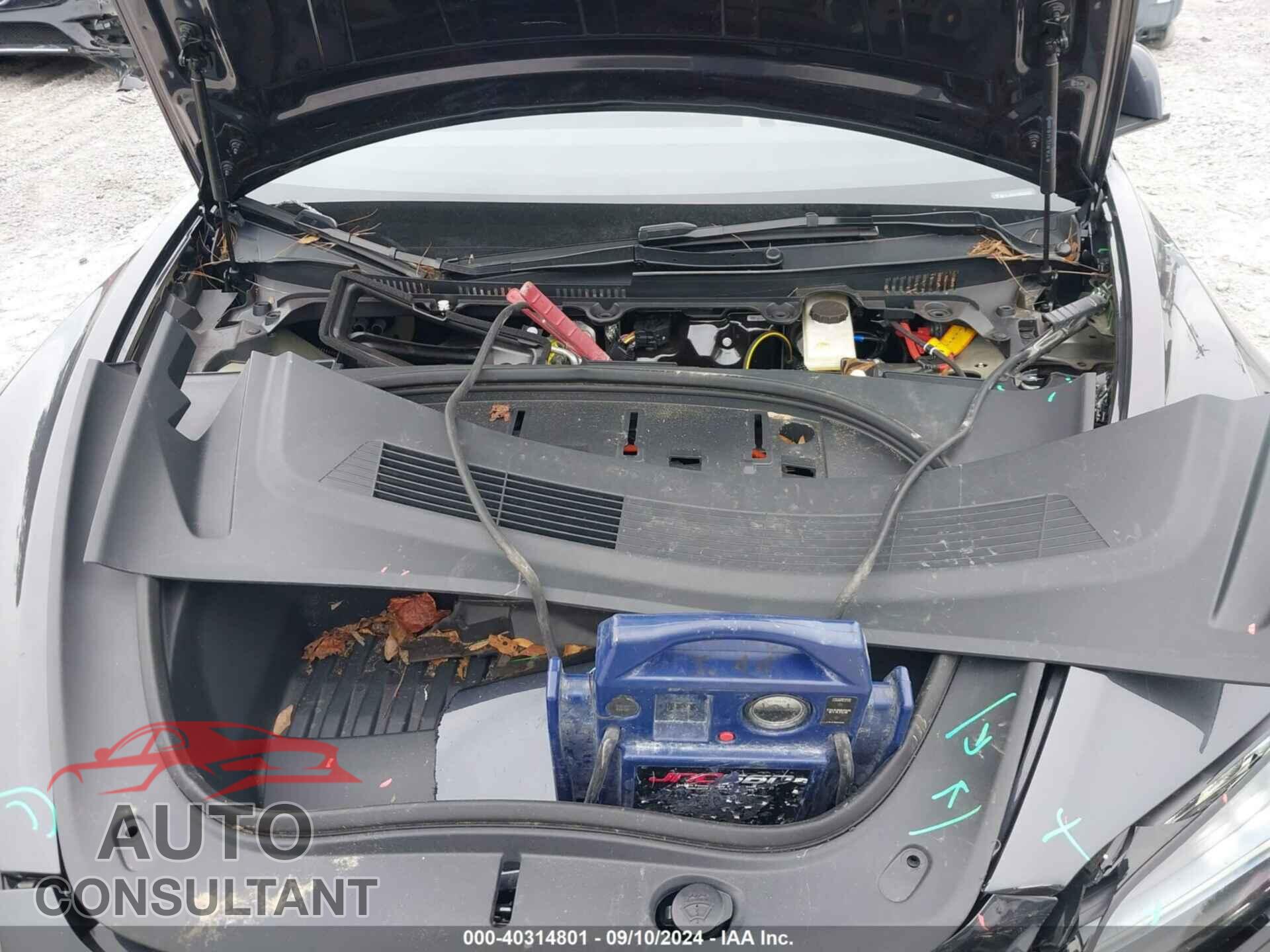 TESLA MODEL 3 2024 - 5YJ3E1EA3RF736452