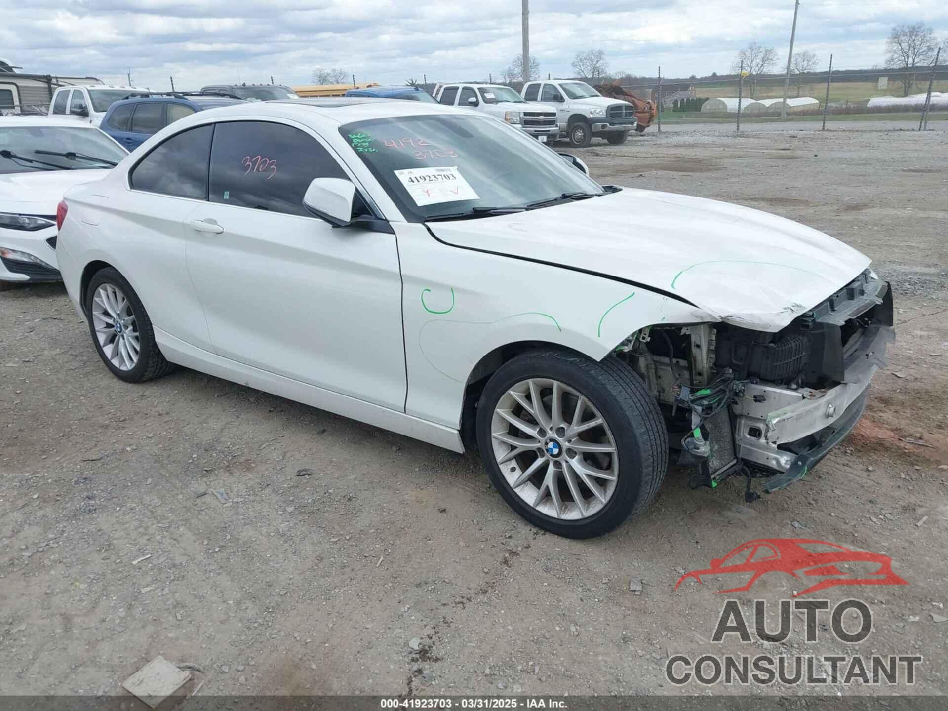 BMW 228I 2016 - WBA1G9C56GV599797