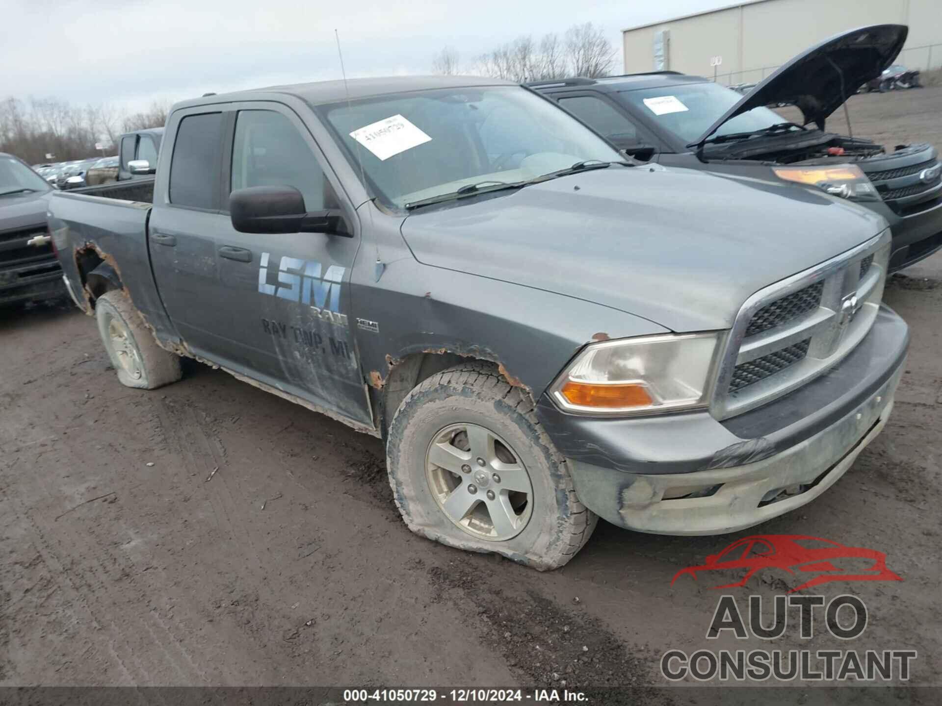 DODGE RAM 1500 2010 - 1D7RV1GT2AS198834