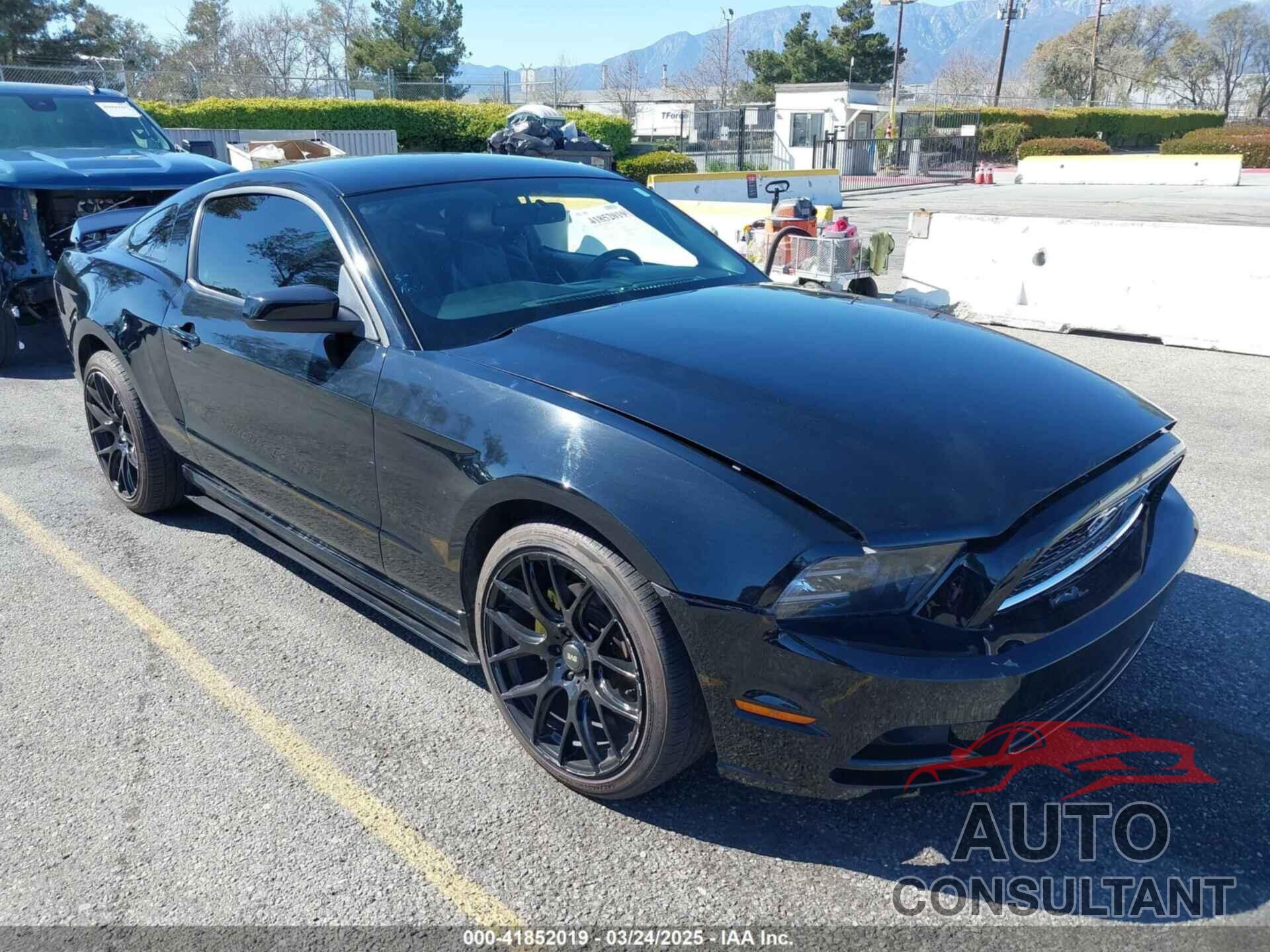 FORD MUSTANG 2013 - 1ZVBP8AM2D5228298
