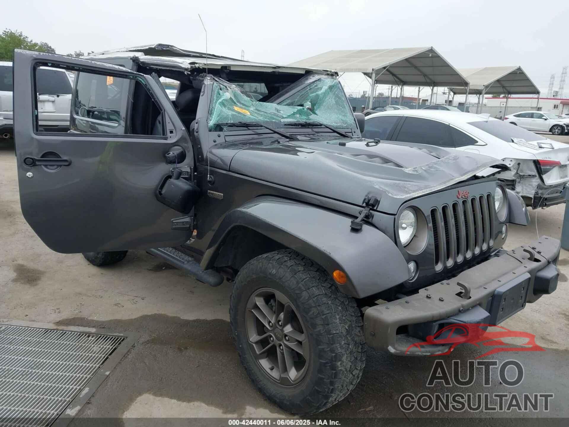 JEEP WRANGLER 2017 - 1C4GJWBG5HL524067
