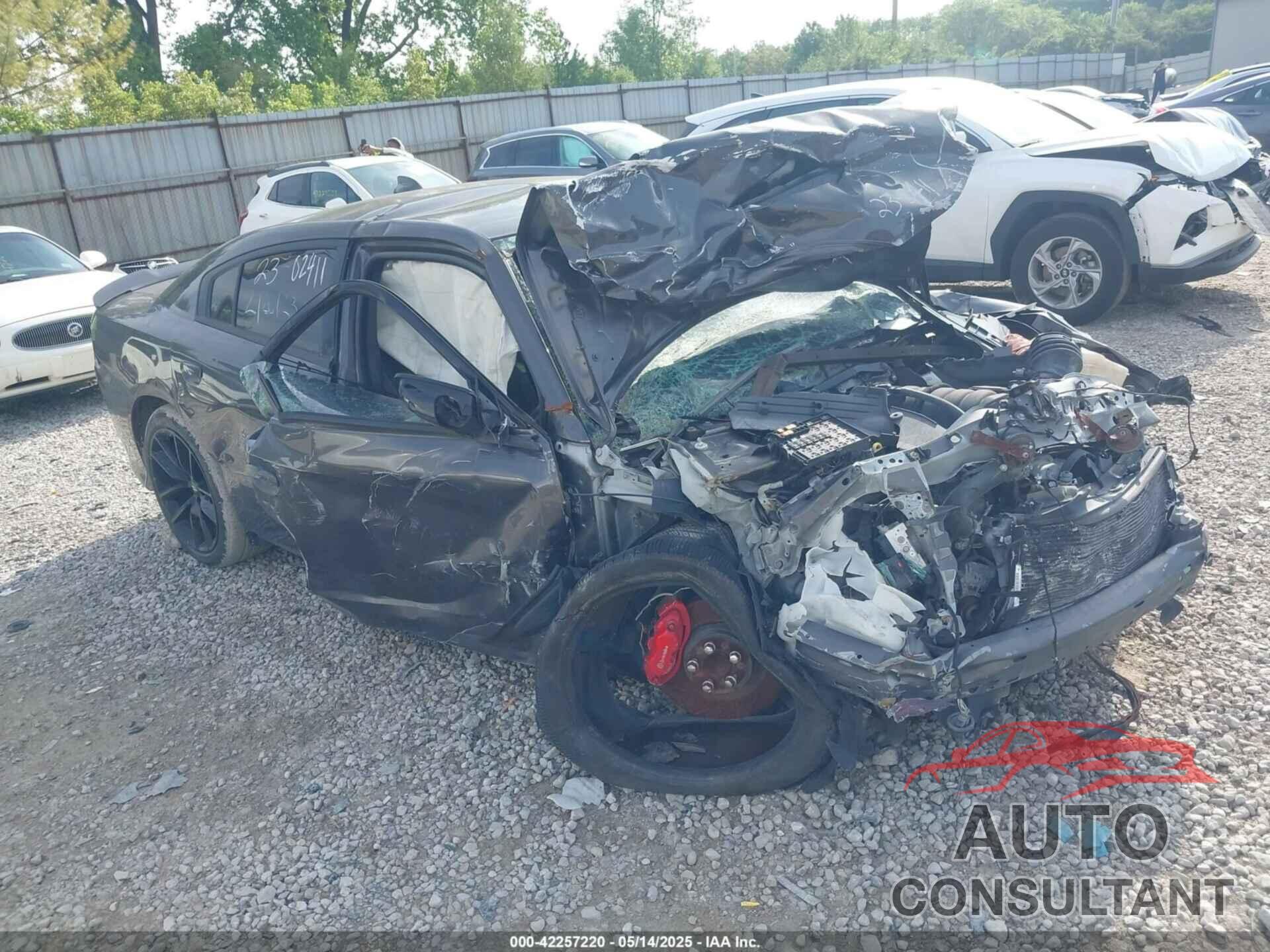 DODGE CHARGER 2020 - 2C3CDXGJ3LH244464