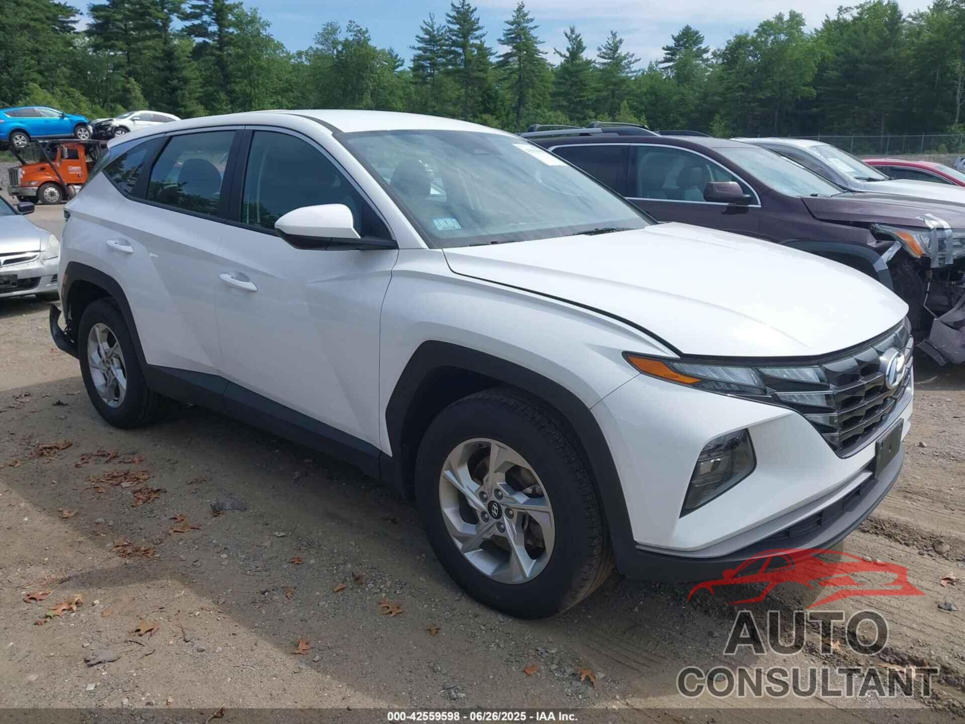HYUNDAI TUCSON 2024 - 5NMJACDE6RH344051