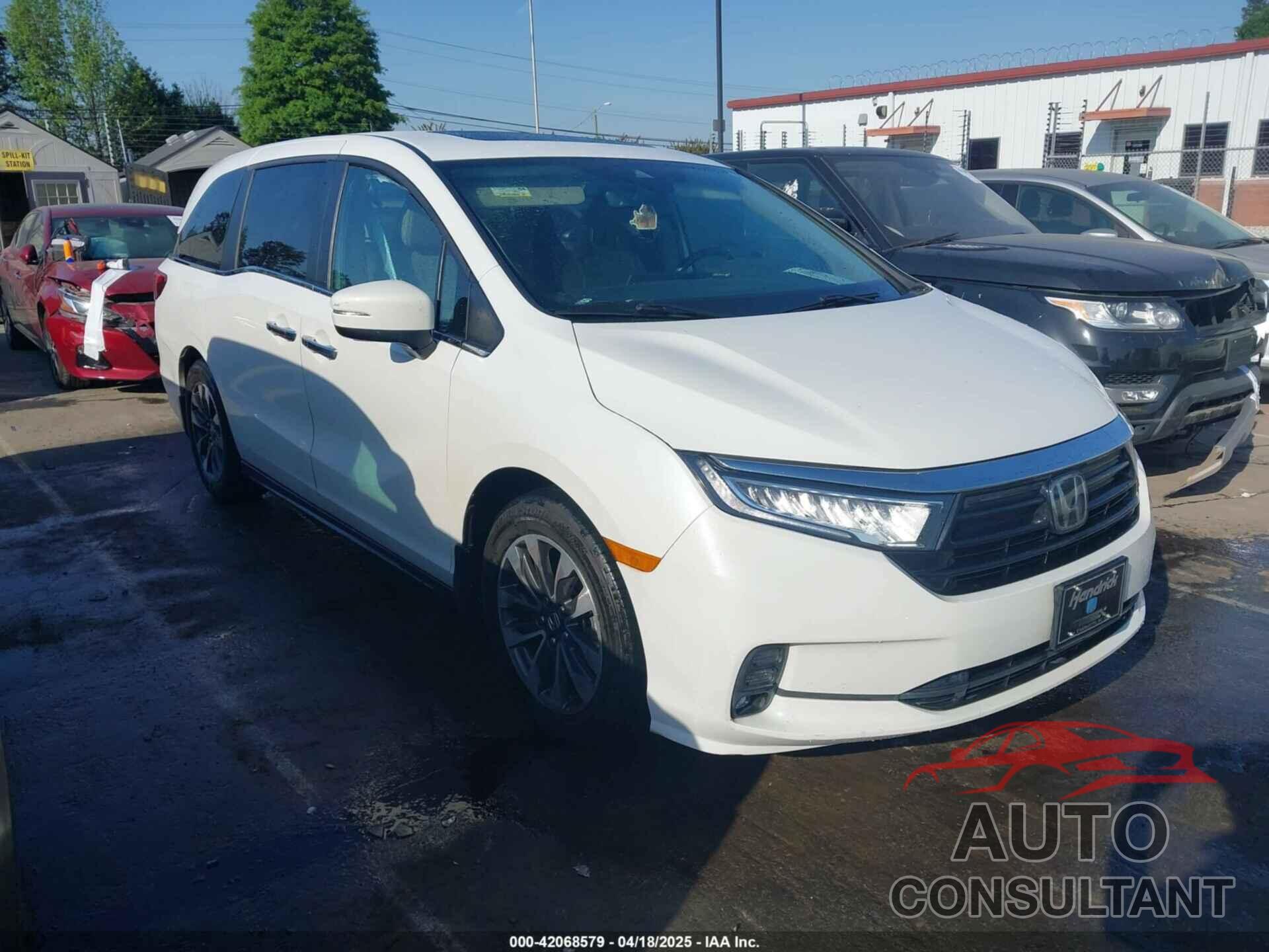 HONDA ODYSSEY 2021 - 5FNRL6H77MB024385
