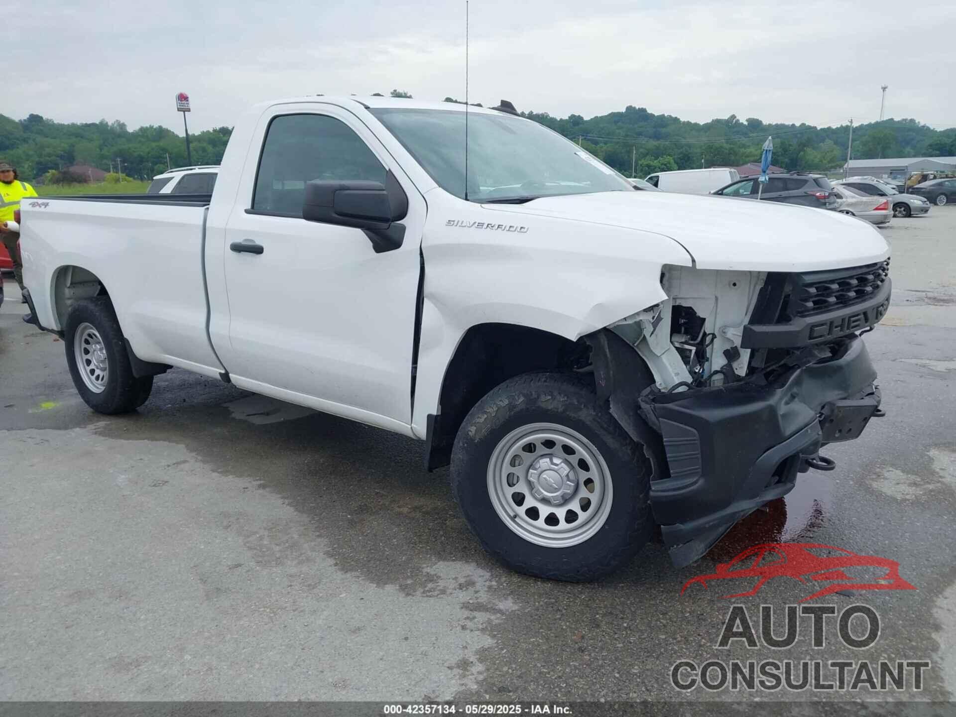 CHEVROLET SILVERADO 1500 2020 - 3GCNYAEF7LG198822