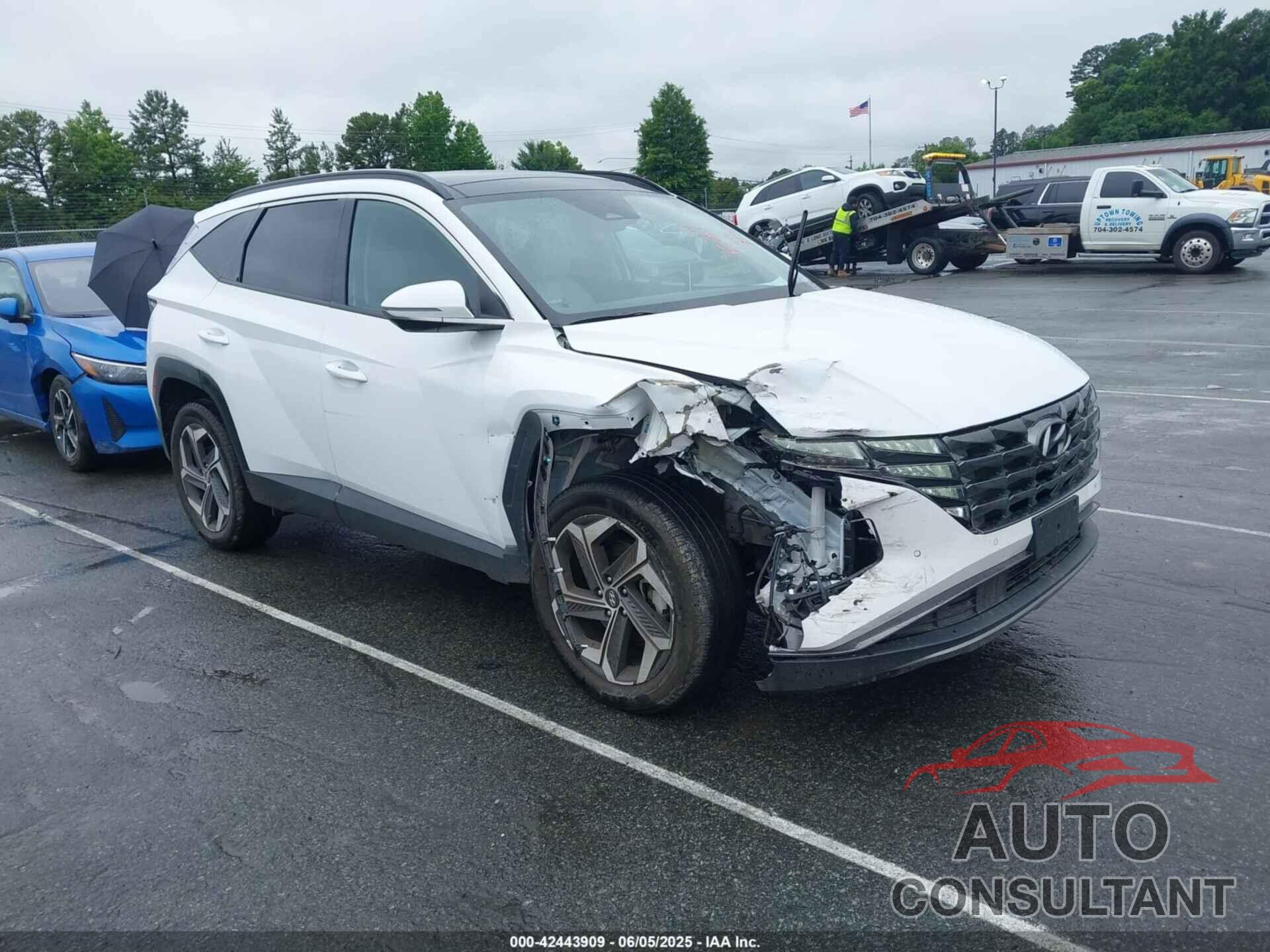 HYUNDAI TUCSON 2024 - 5NMJECDE2RH360820