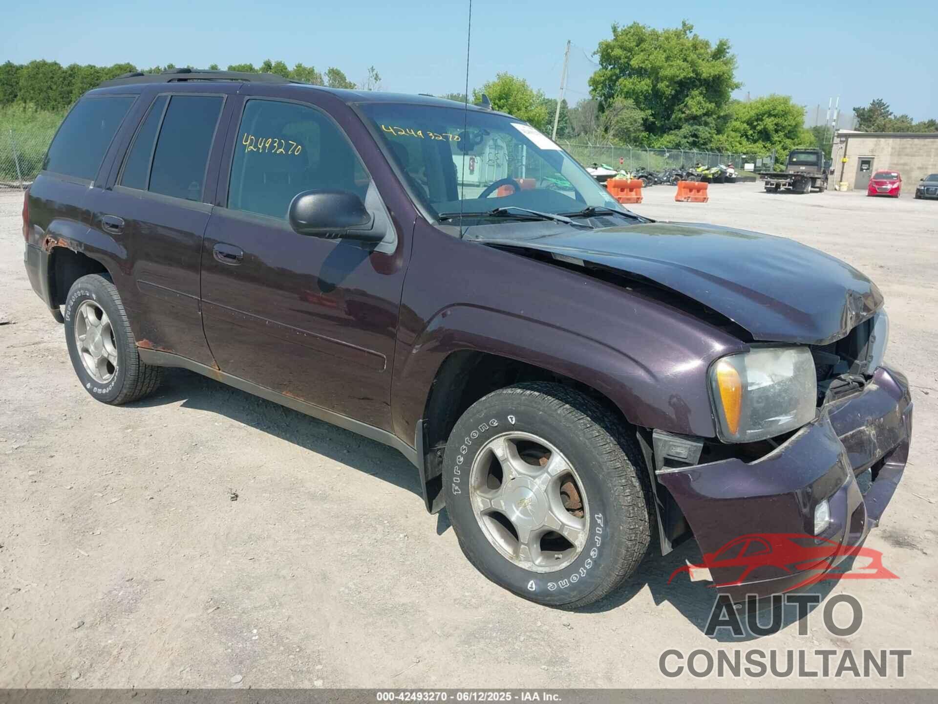 CHEVROLET TRAILBLAZER 2009 - 1GNDT33S492126992
