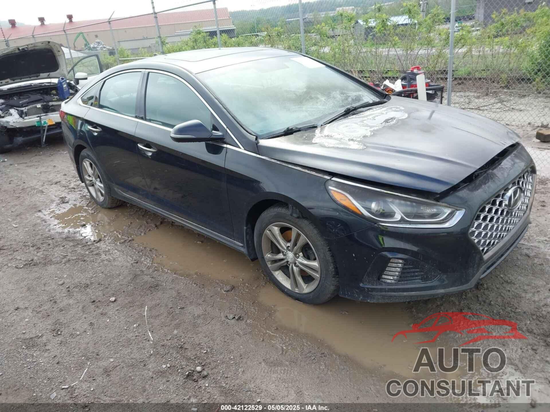 HYUNDAI SONATA 2019 - 5NPE34AF7KH818208