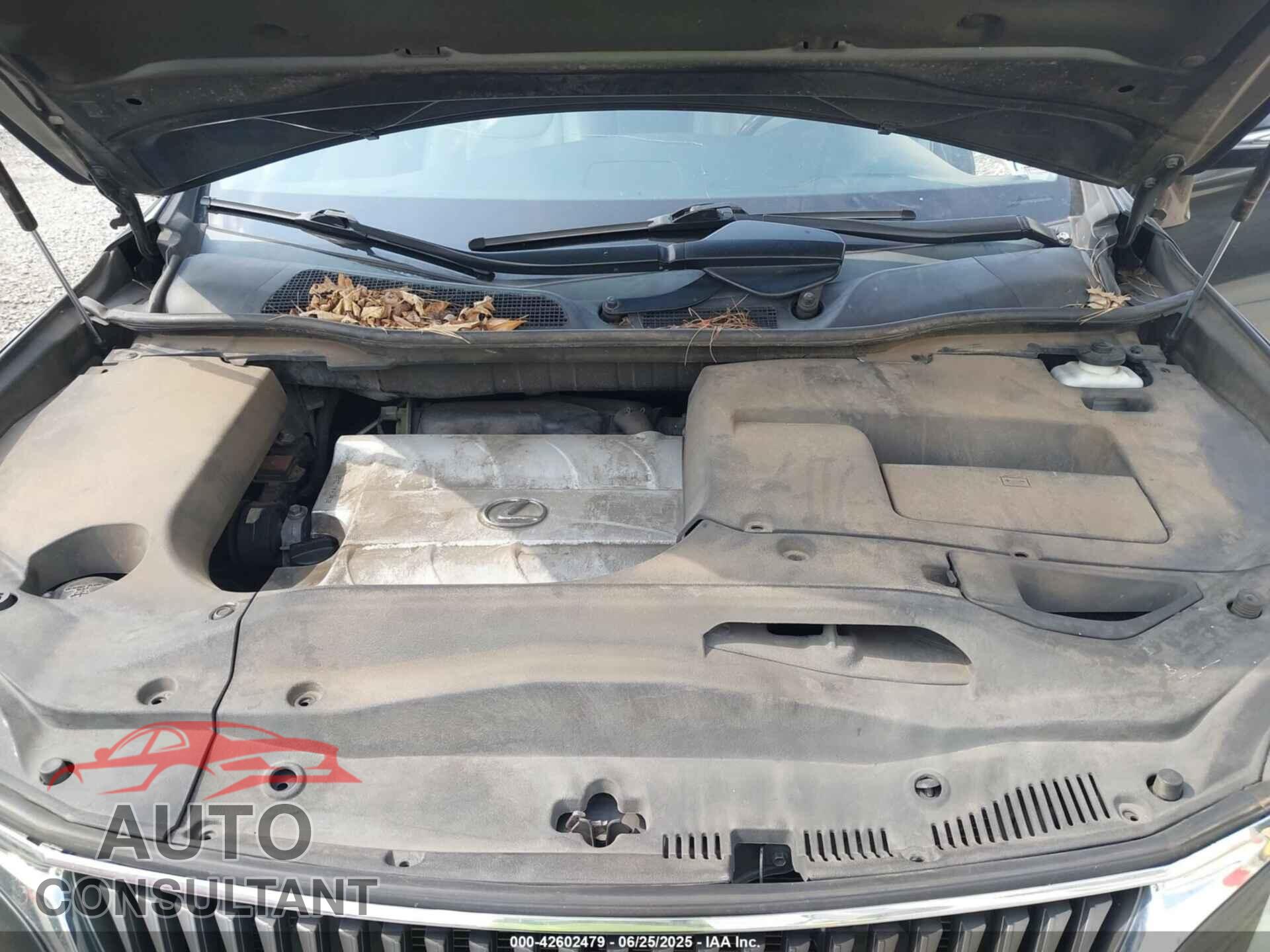 LEXUS RX 350 2011 - 2T2BK1BA2BC114357