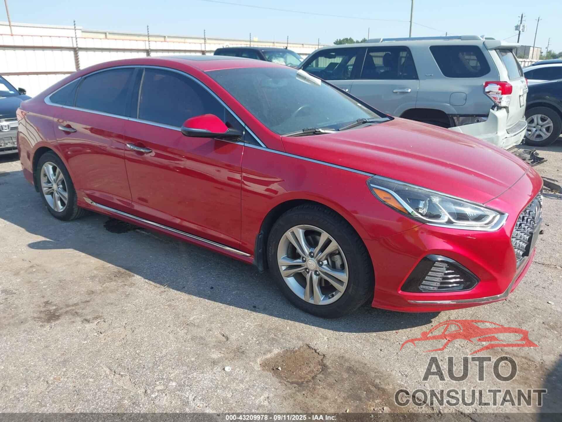 HYUNDAI SONATA 2019 - 5NPE34AFXKH784295