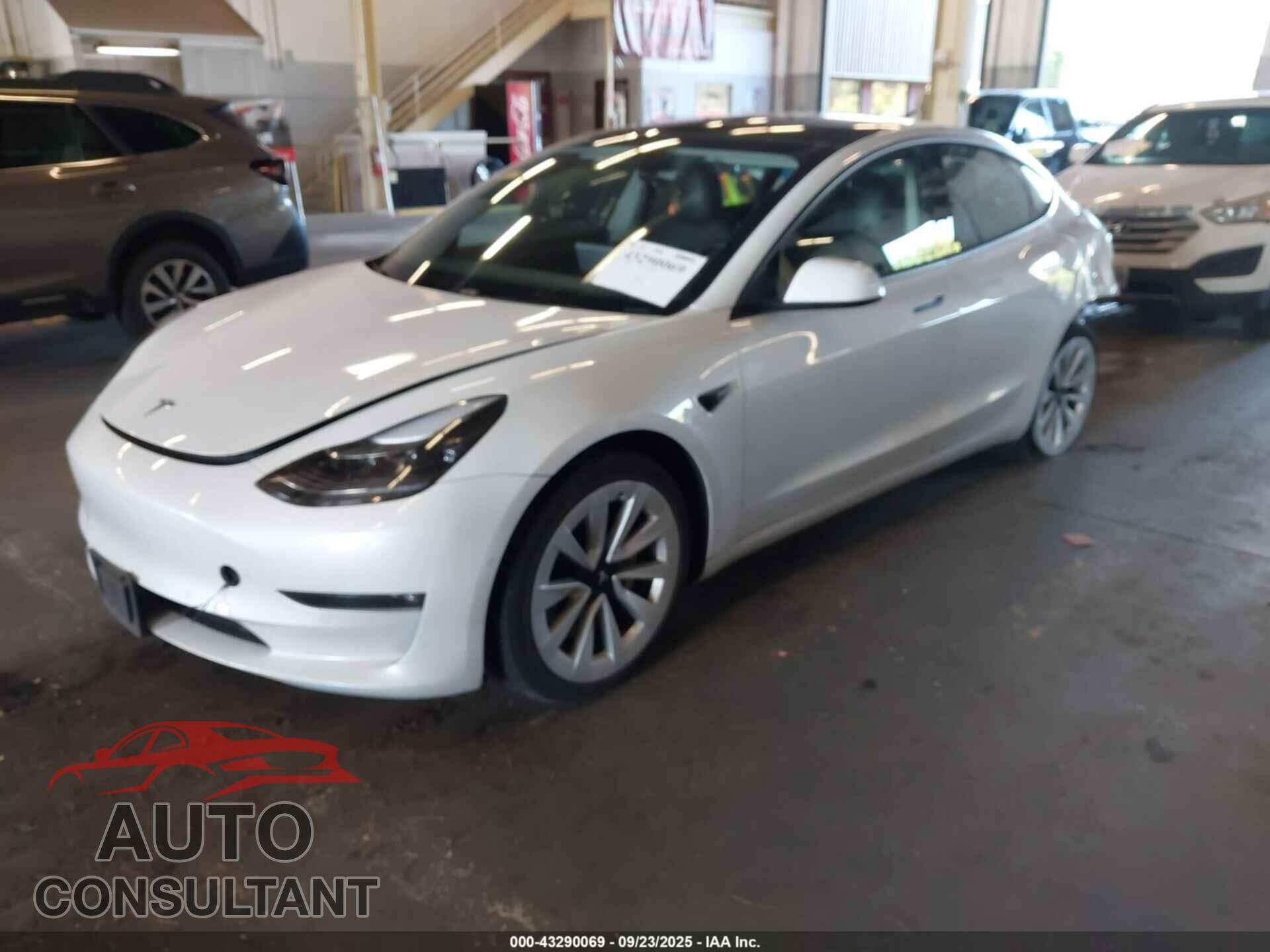 TESLA MODEL 3 2021 - 5YJ3E1EBXMF870666