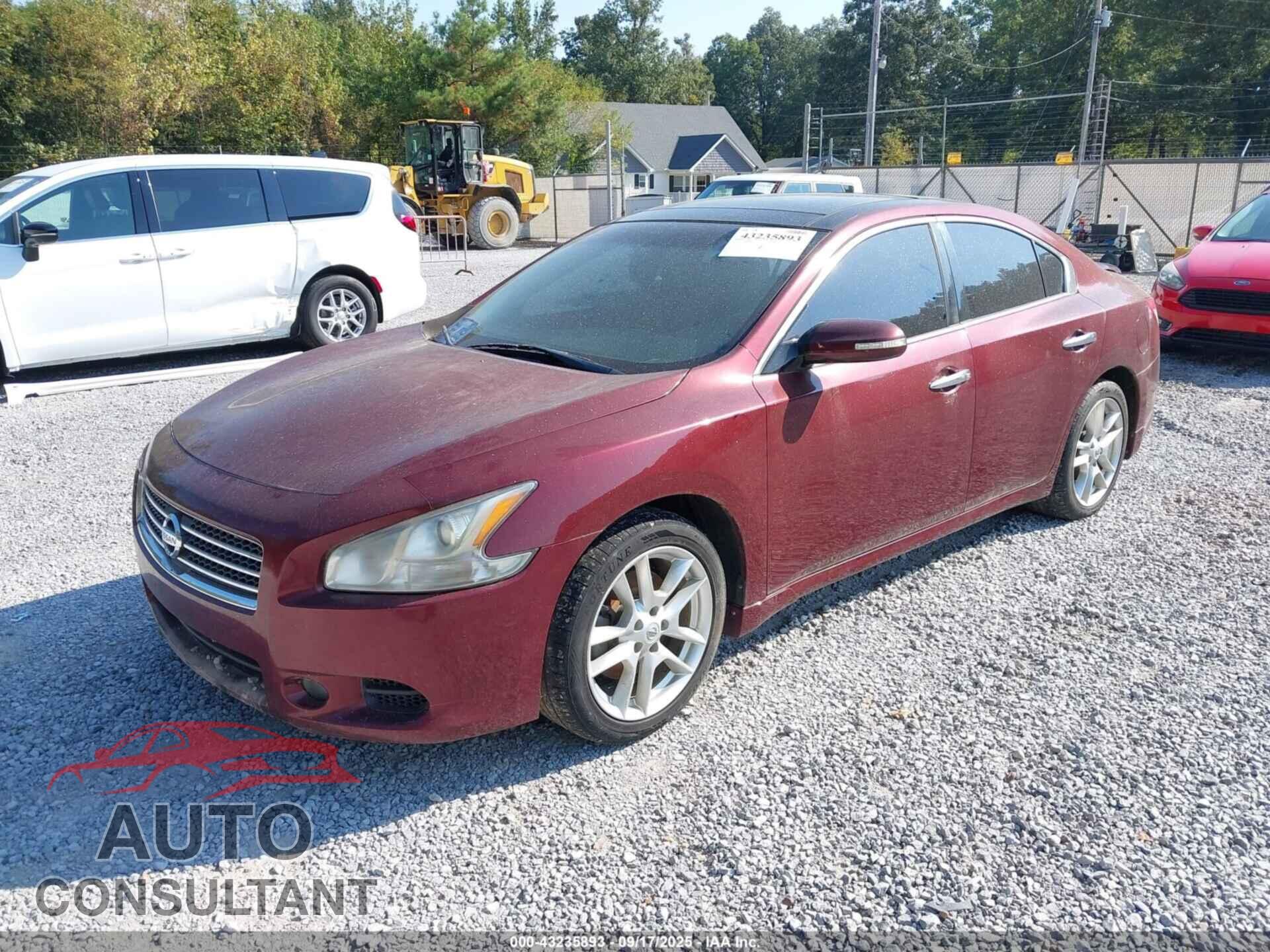 NISSAN MAXIMA 2011 - 1N4AA5AP1BC816331