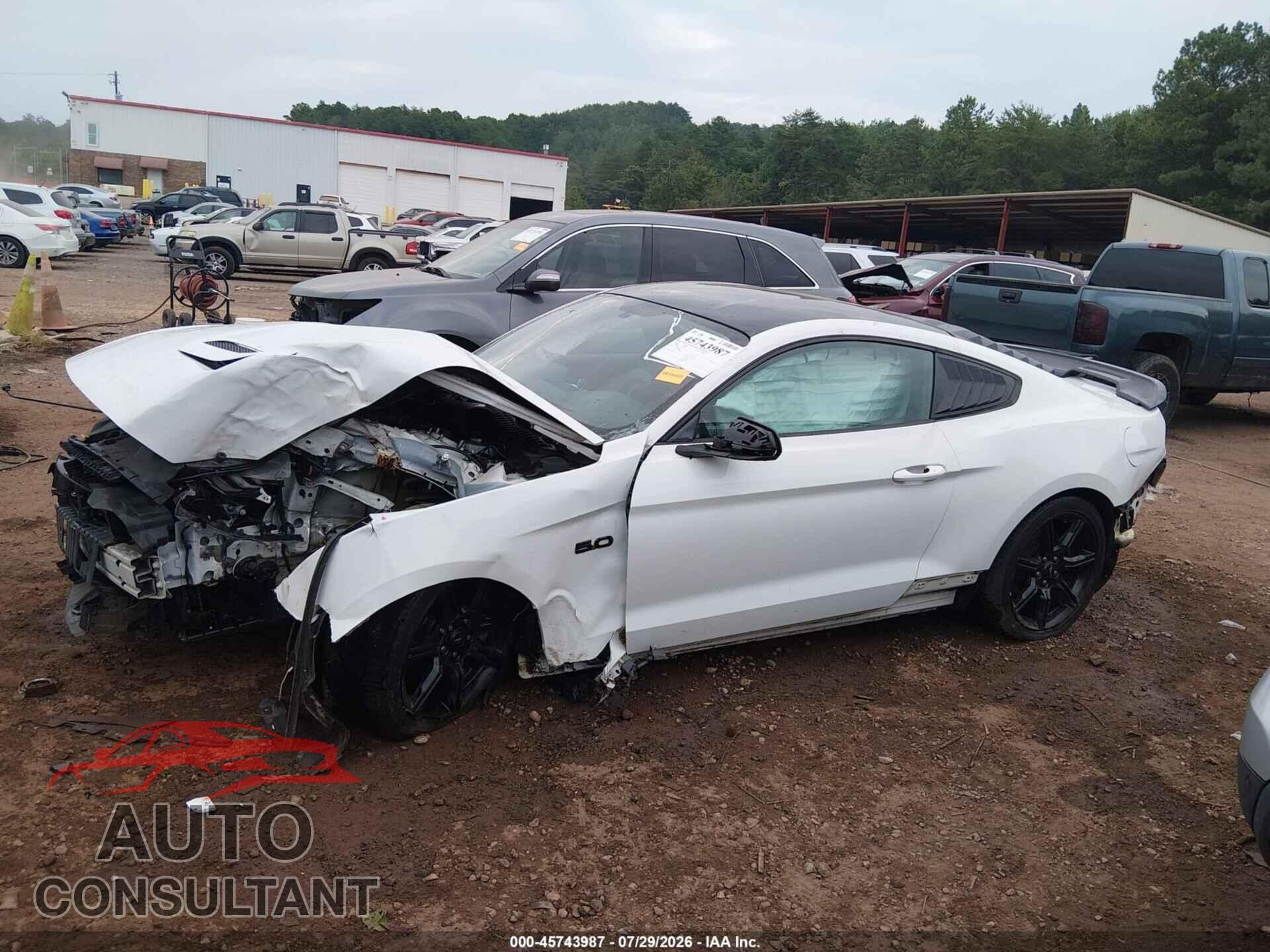 FORD MUSTANG 2019 - 1FA6P8CF3K5122075