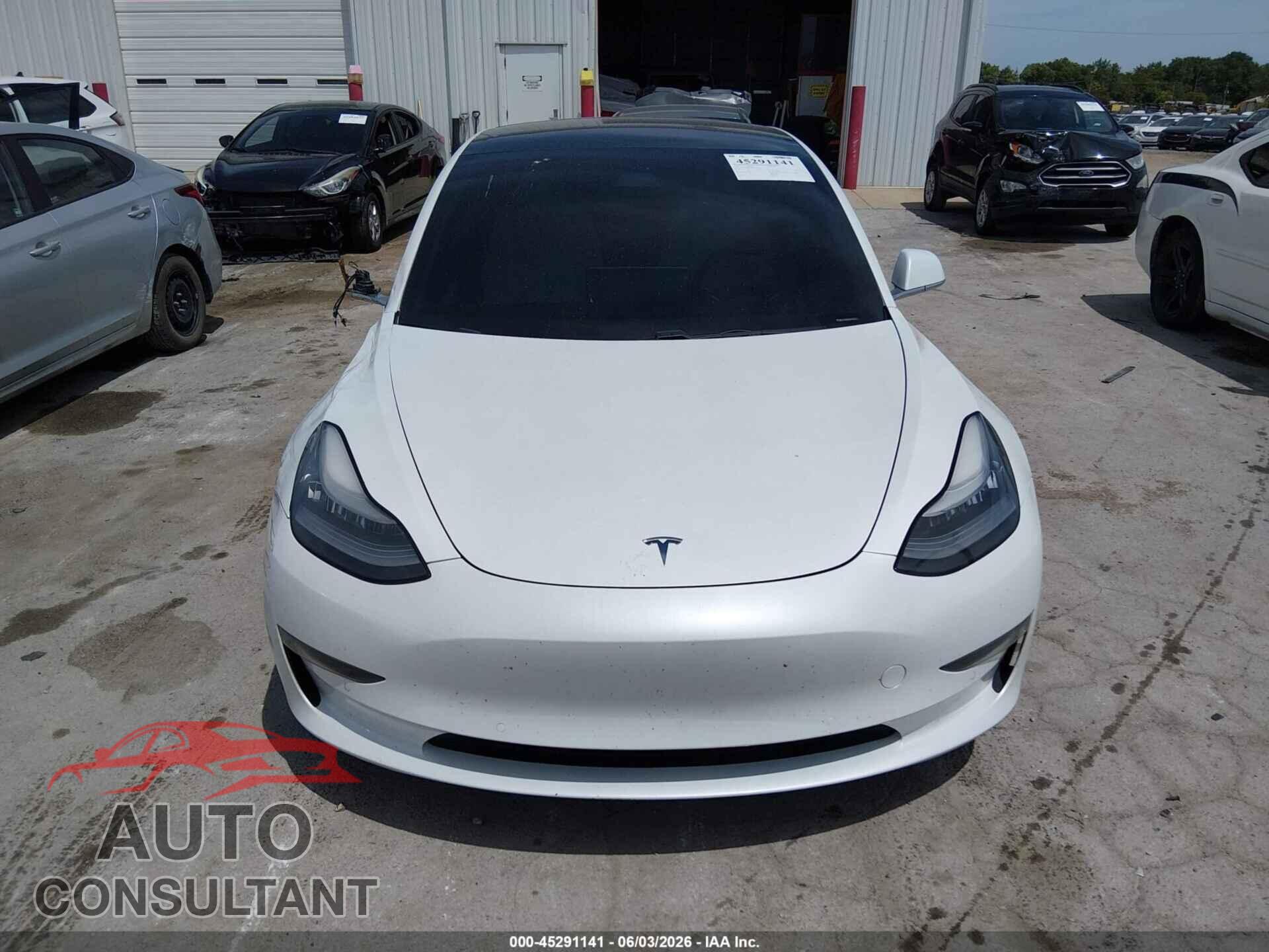 TESLA MODEL 3 2019 - 5YJ3E1EB0KF494640