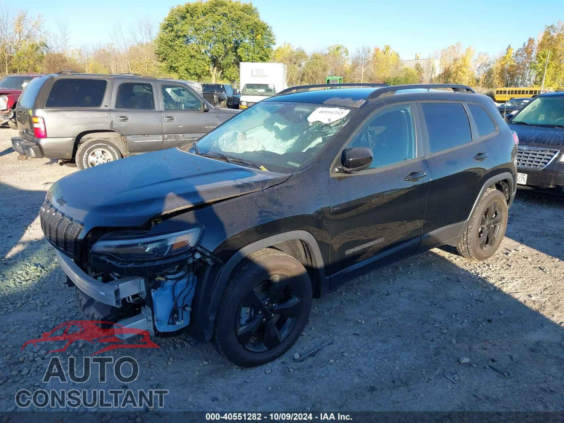 JEEP CHEROKEE 2019 - 1C4PJMLB8KD322400