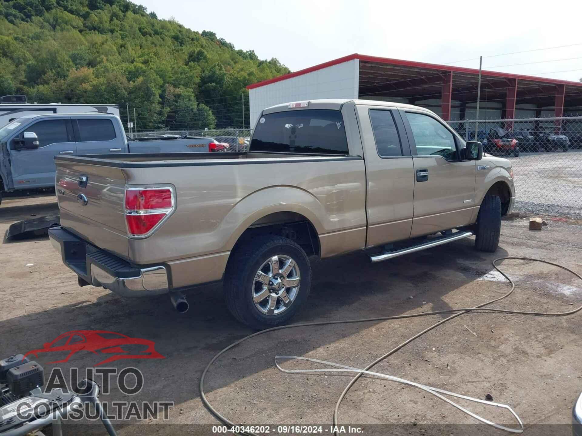 FORD F-150 2013 - 1FTFX1CTXDFD46920