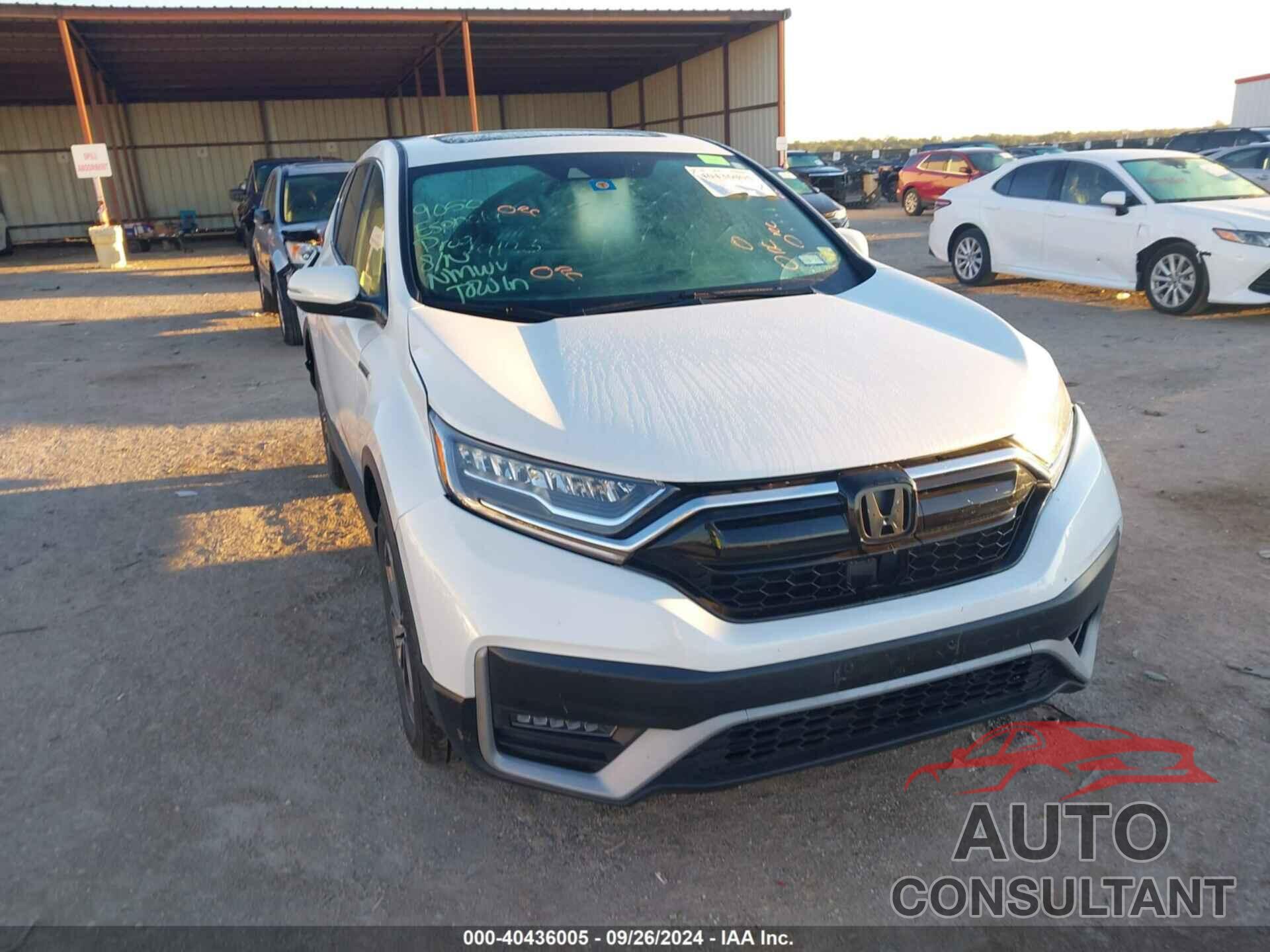 HONDA CR-V 2022 - 5J6RT6H81NL042771