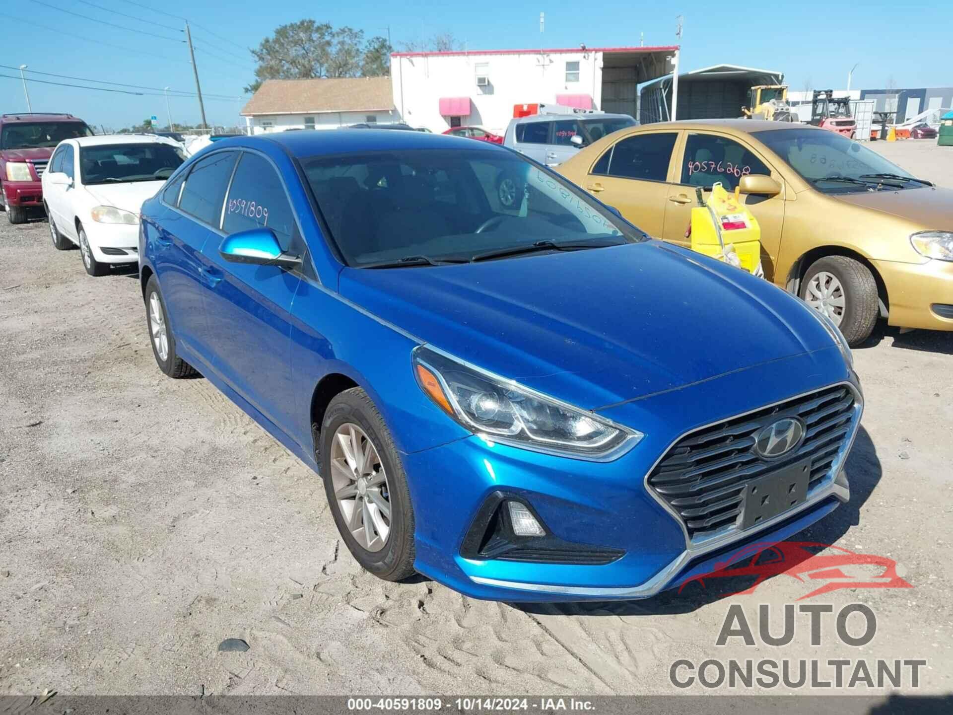 HYUNDAI SONATA 2019 - 5NPE24AF3KH766241