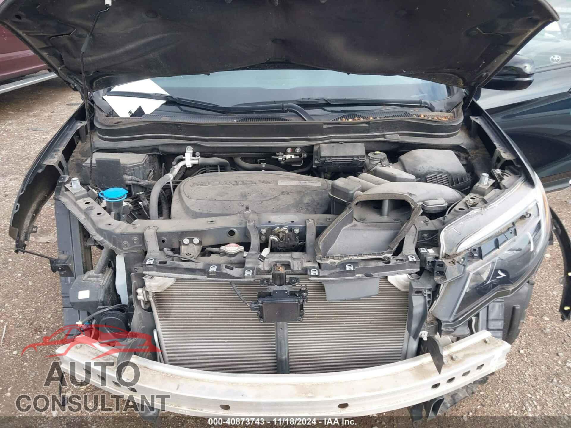 HONDA RIDGELINE 2019 - 5FPYK3F82KB007782
