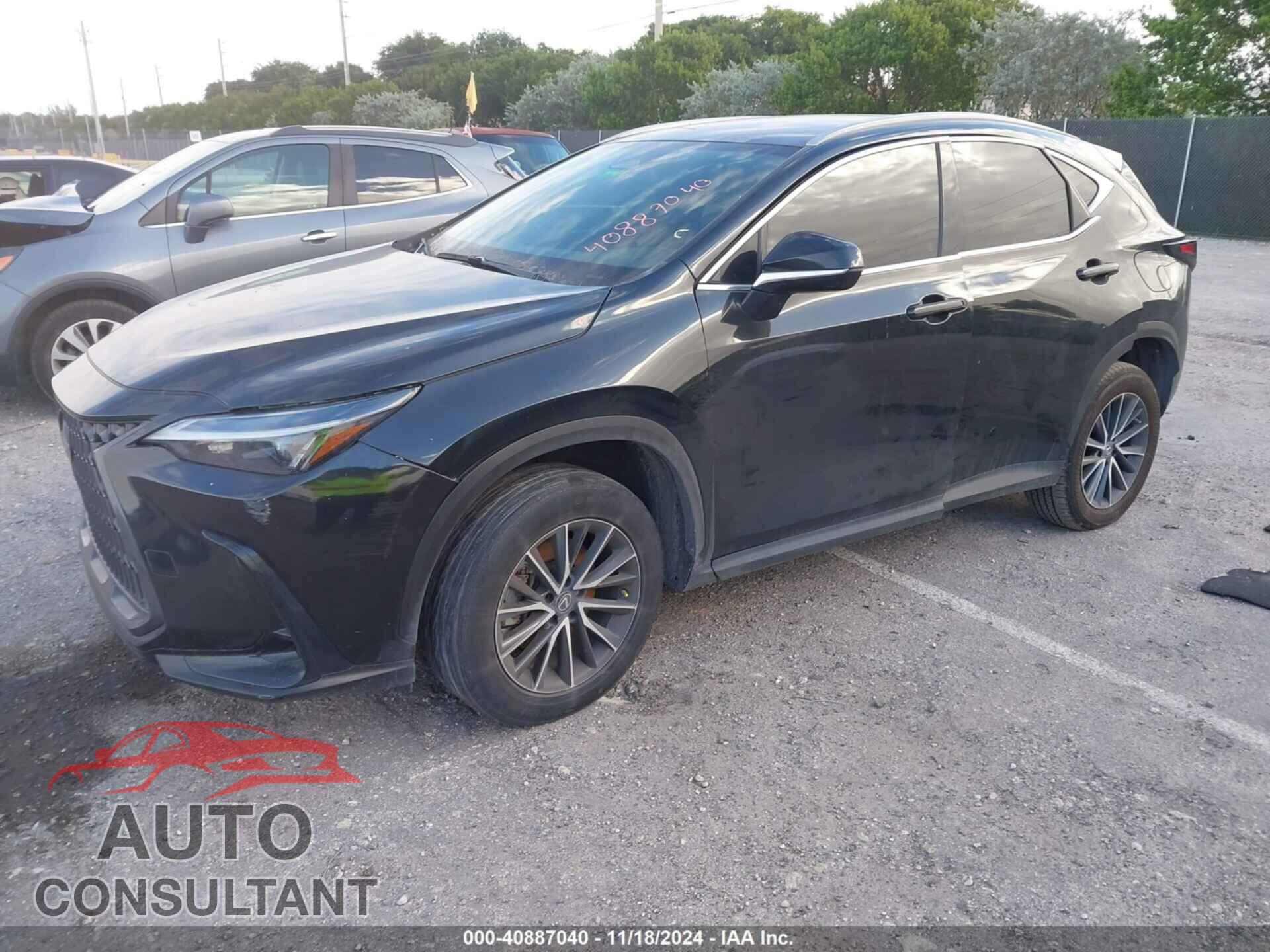 LEXUS NX 250 2023 - 2T2ADCAZ2PC005669