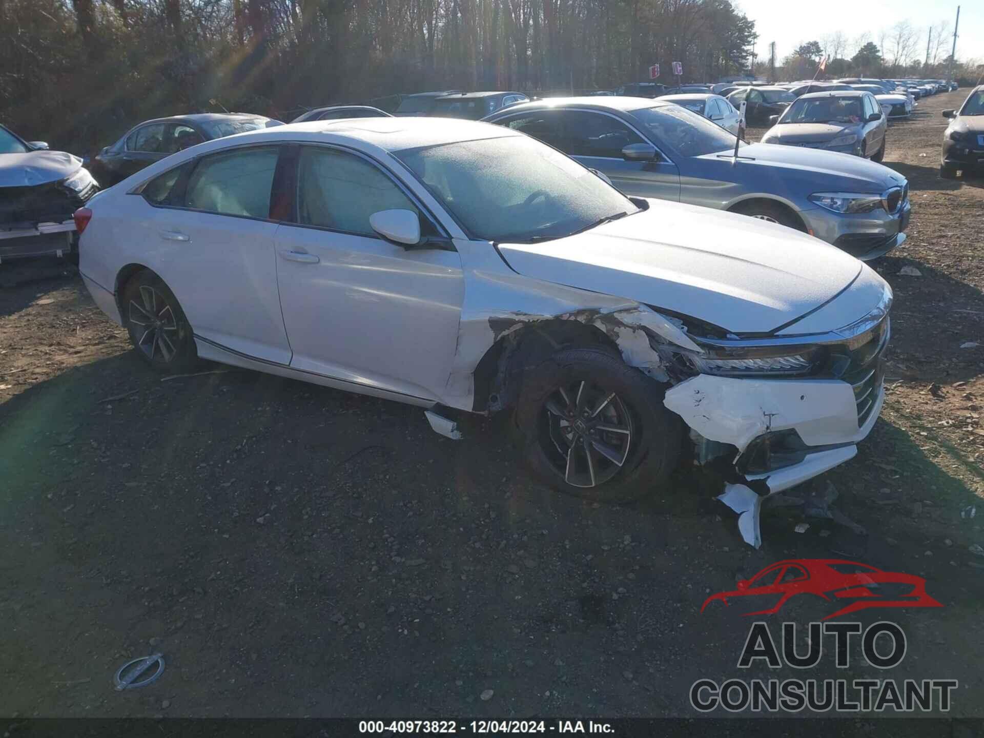 HONDA ACCORD 2021 - 1HGCV1F51MA022971