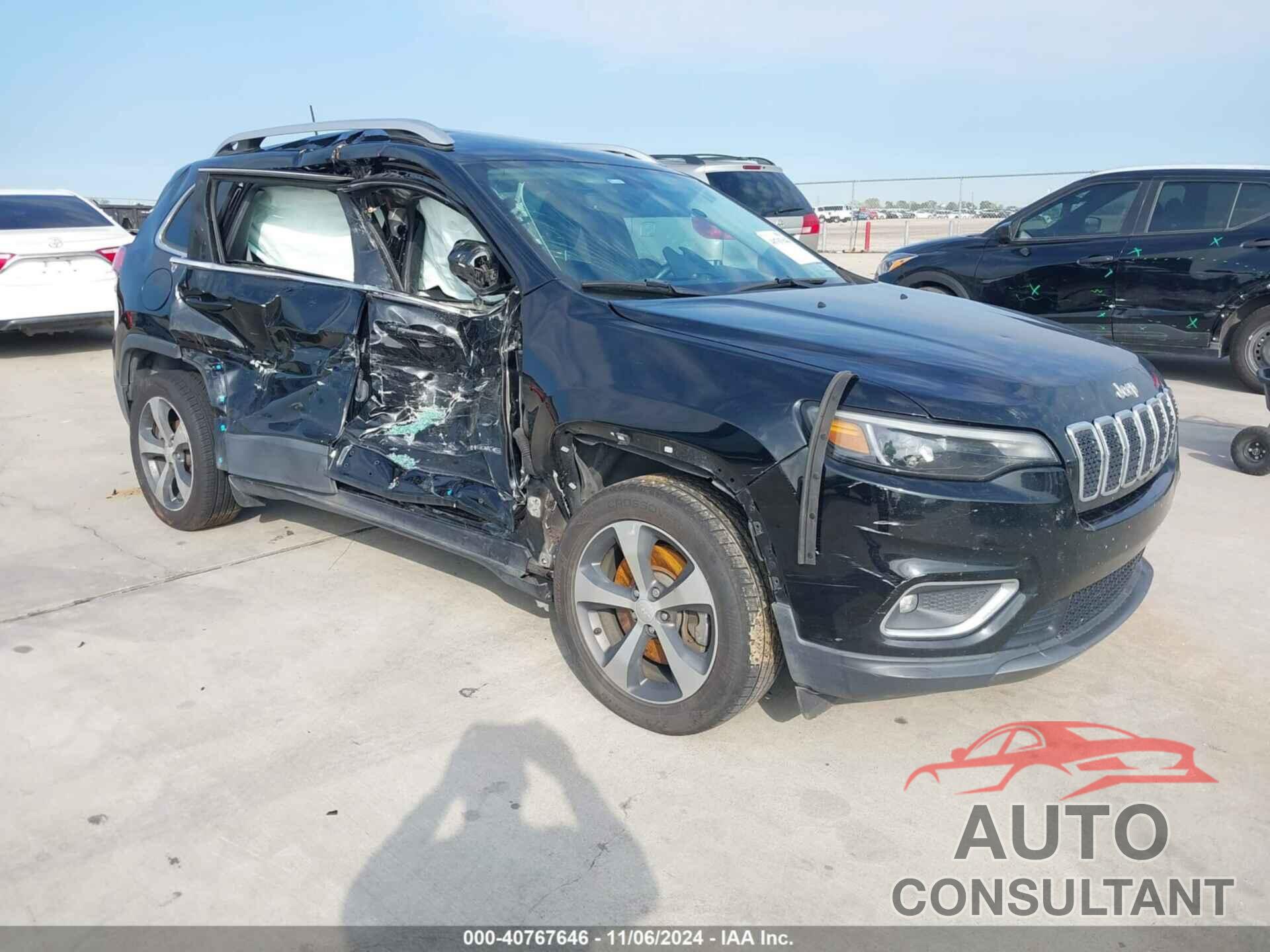 JEEP CHEROKEE 2019 - 1C4PJLDNXKD119981