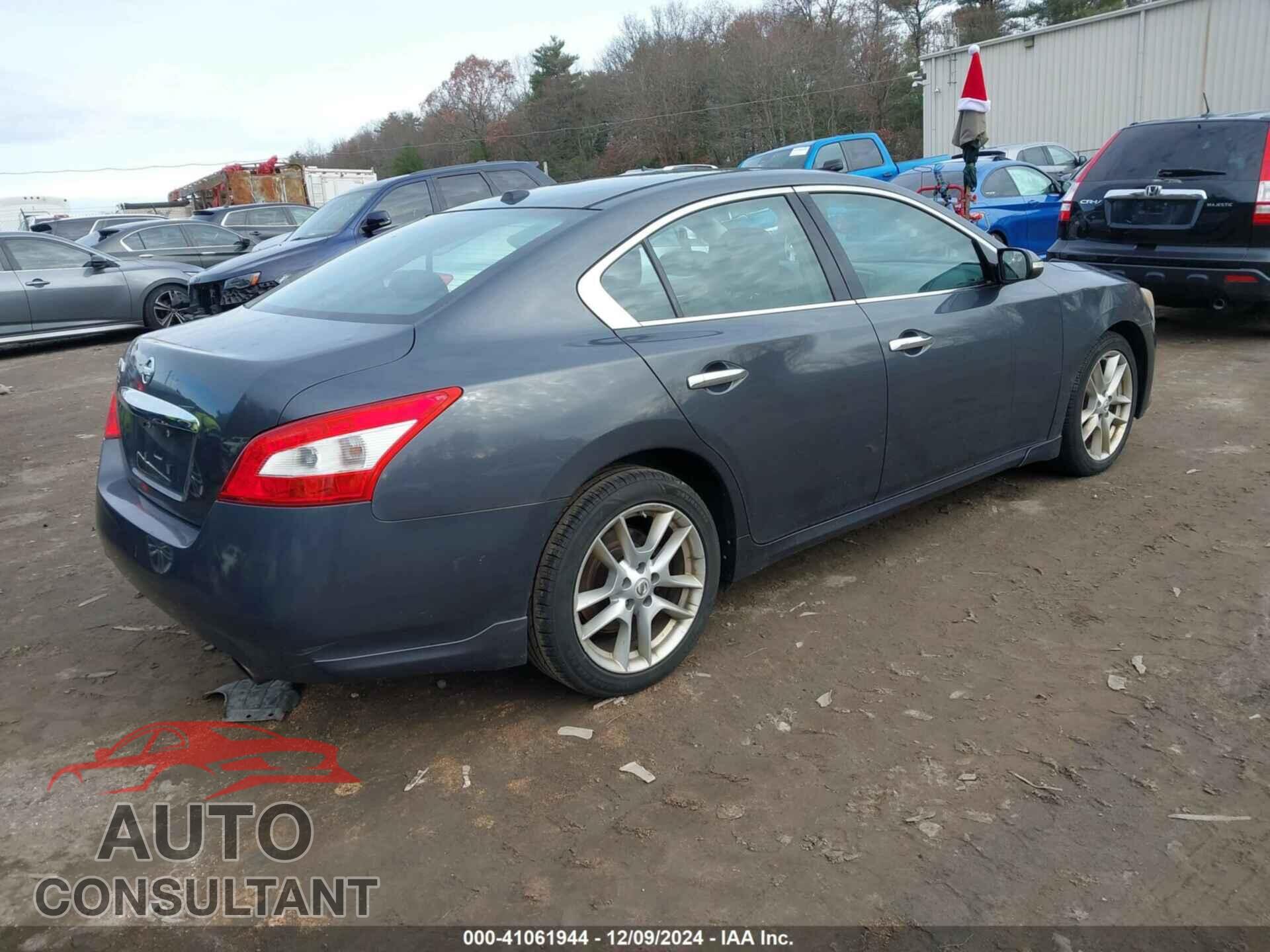 NISSAN MAXIMA 2011 - 1N4AA5AP5BC814341