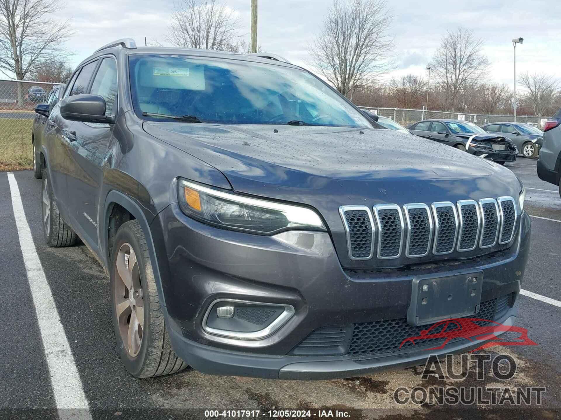JEEP CHEROKEE 2019 - 1C4PJLDB5KD457858
