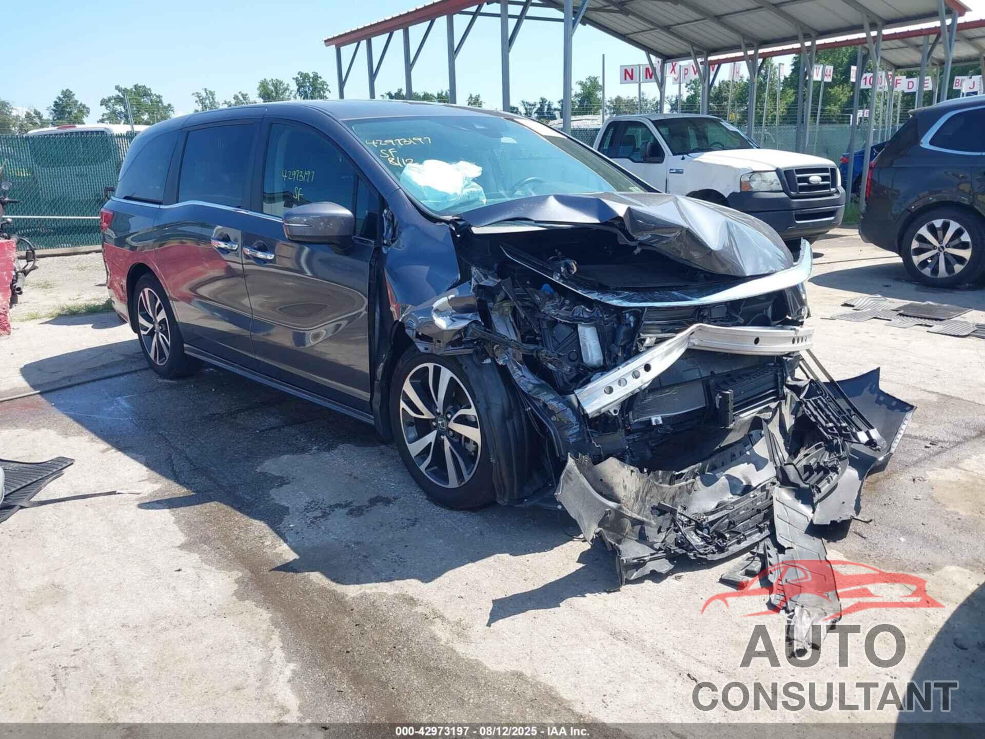 HONDA ODYSSEY 2024 - 5FNRL6H80RB031758