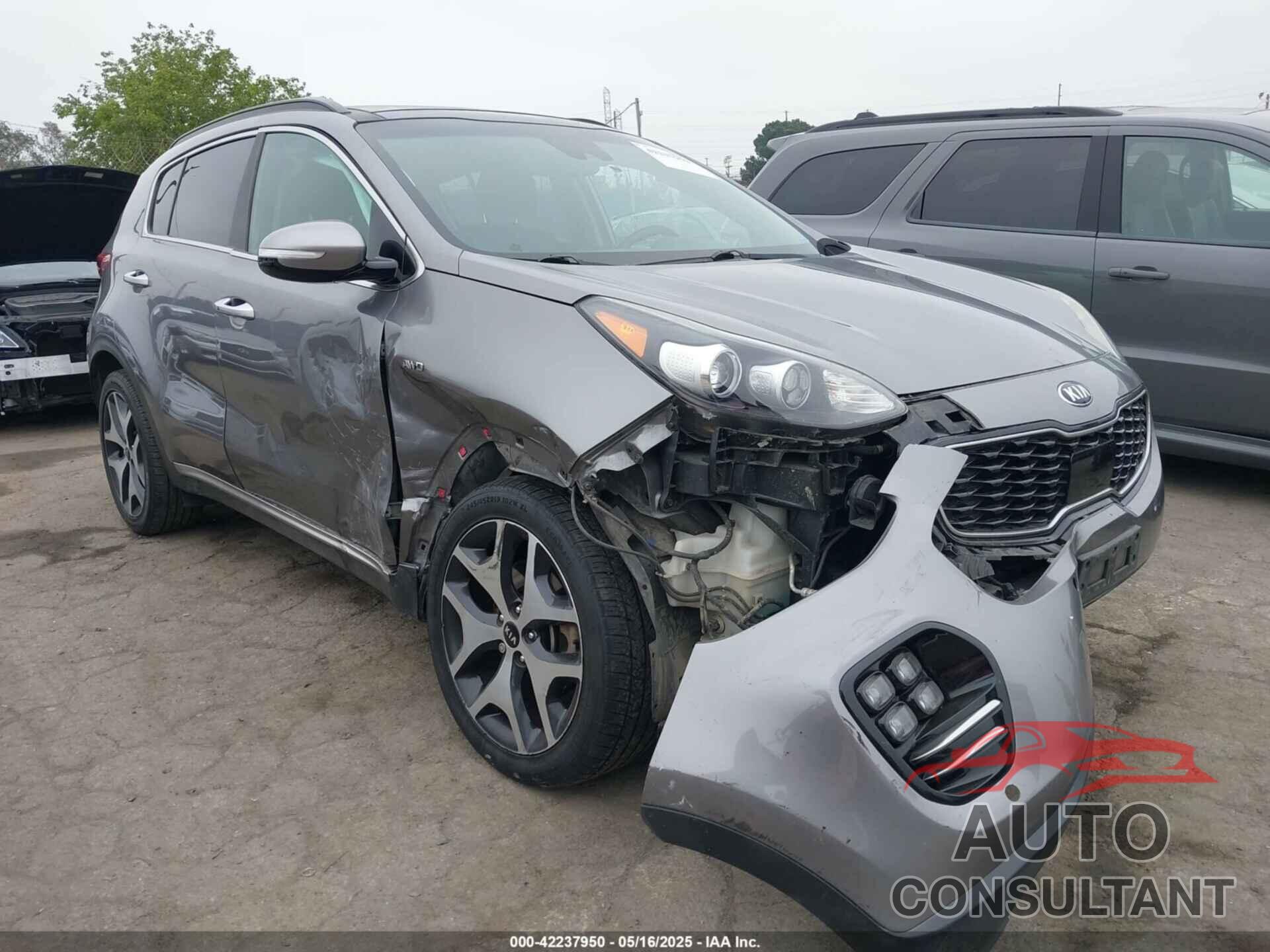 KIA SPORTAGE 2019 - KNDPRCA69K7540272