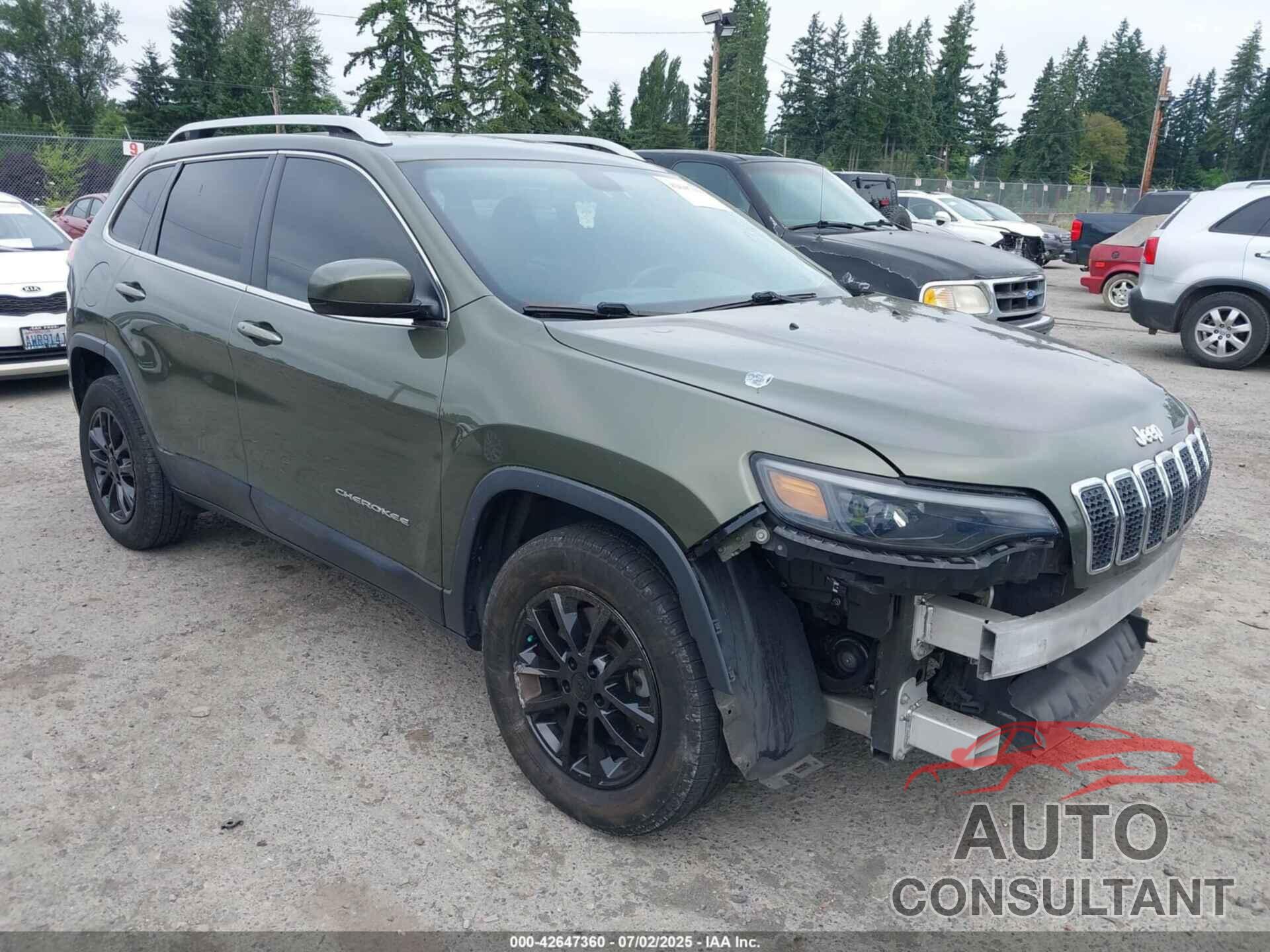 JEEP CHEROKEE 2019 - 1C4PJMLB2KD191884