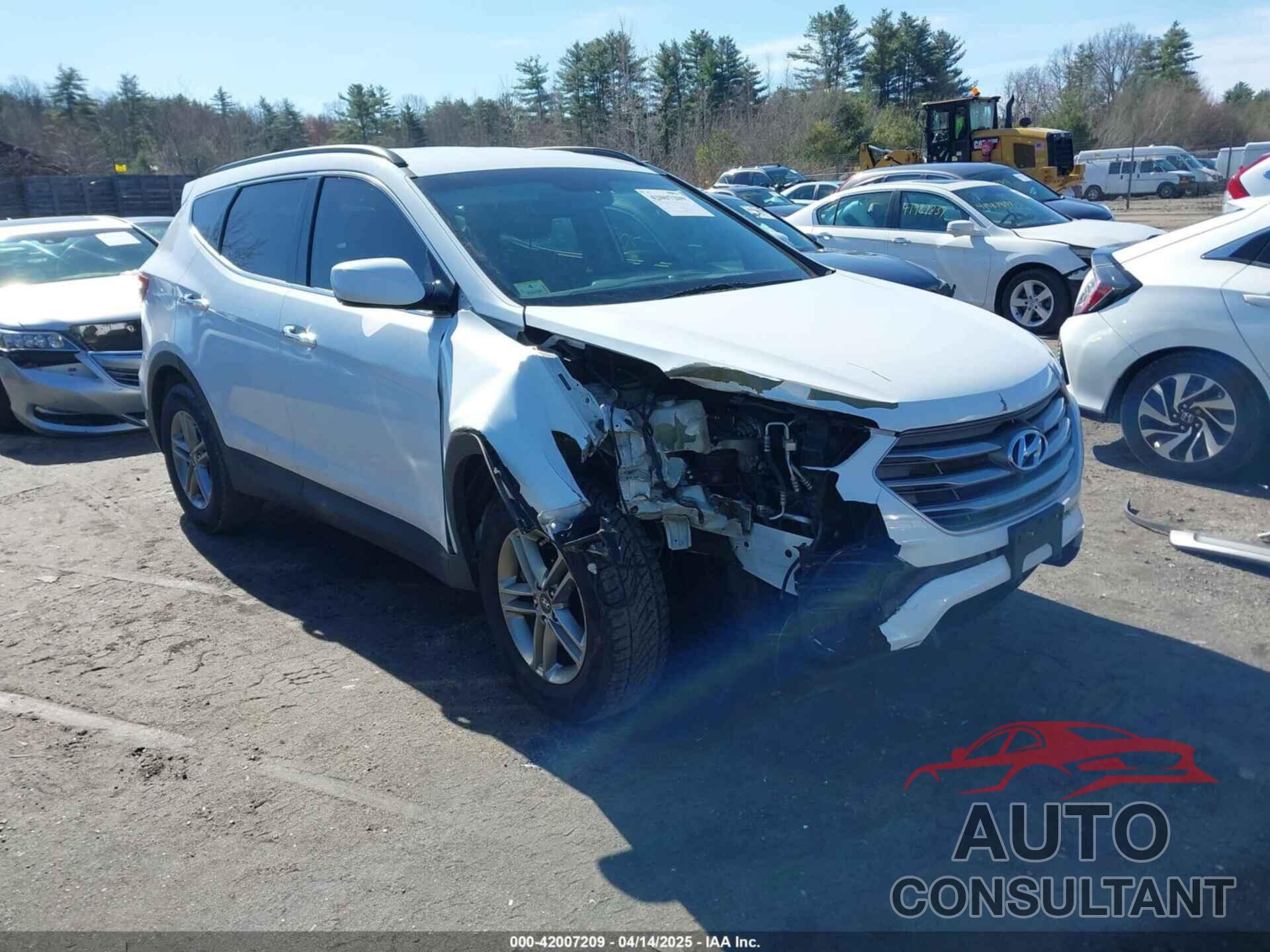 HYUNDAI SANTA FE SPORT 2017 - 5NMZUDLBXHH034846