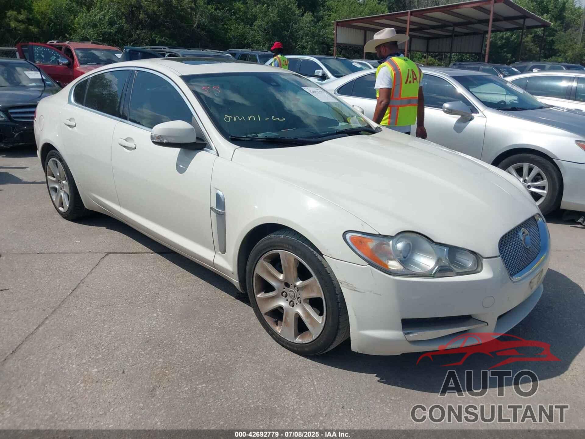 JAGUAR XF 2009 - SAJWA05B69HR26484