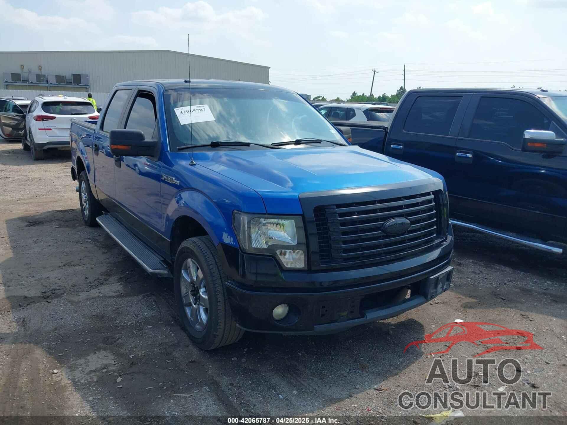 FORD F-150 2011 - 1FTEW1CM2BKD19982