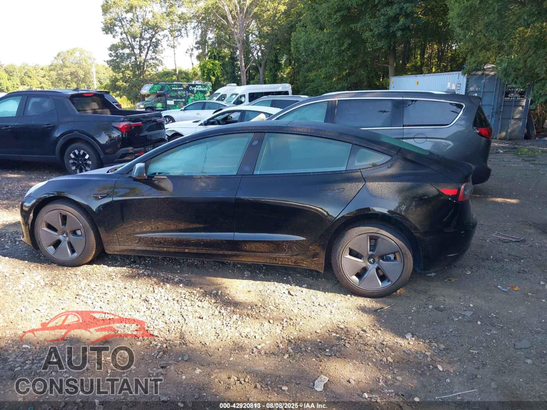 TESLA MODEL 3 2023 - 5YJ3E1EA5PF496897
