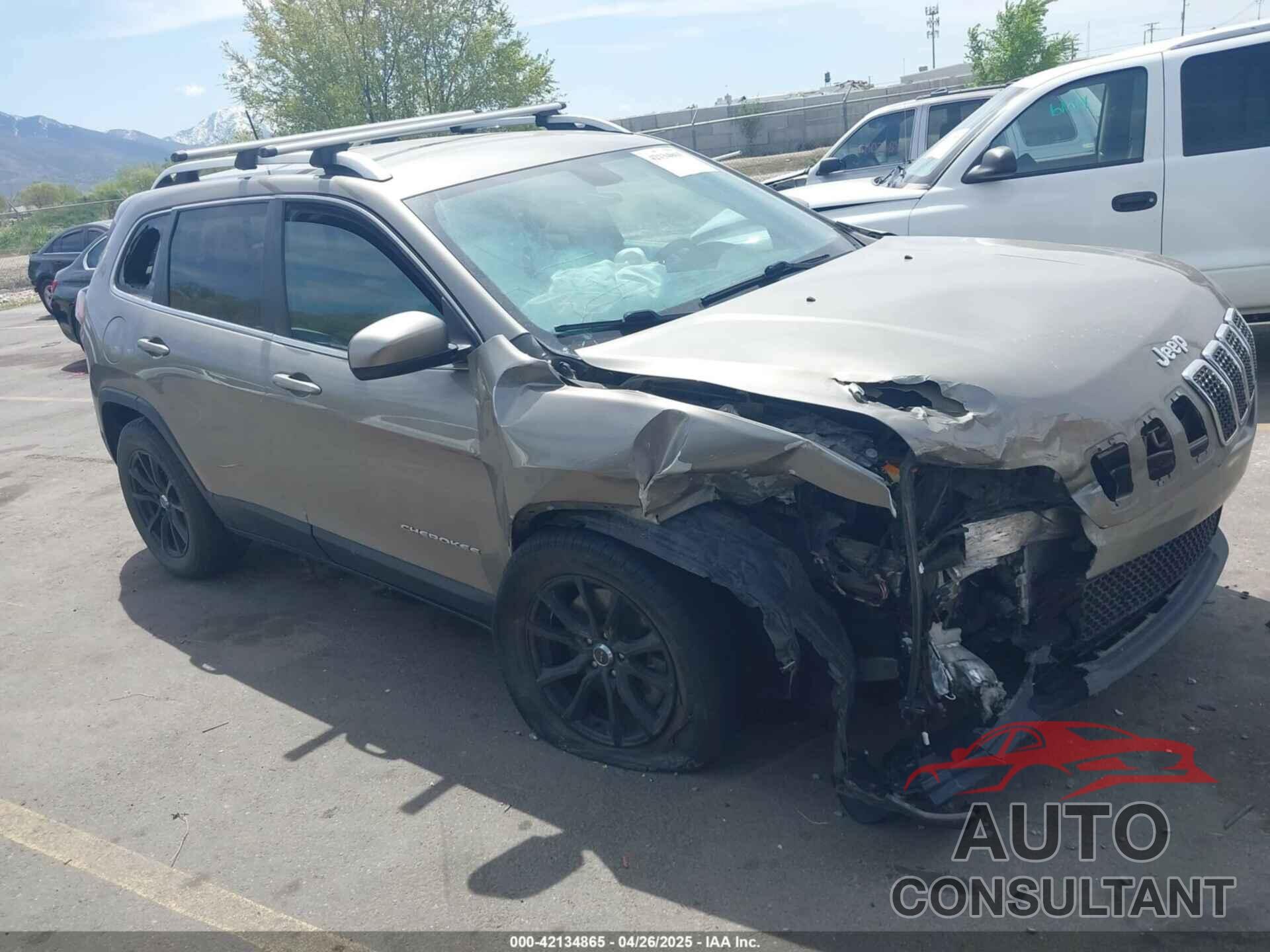 JEEP CHEROKEE 2019 - 1C4PJMCX3KD103498