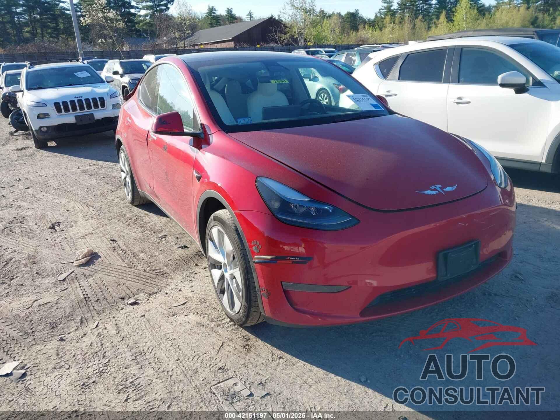 TESLA MODEL Y 2023 - 7SAYGDEE0PF638869