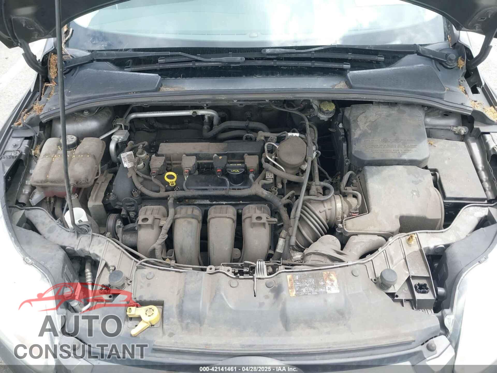 FORD FOCUS 2014 - 1FADP3K24EL374992