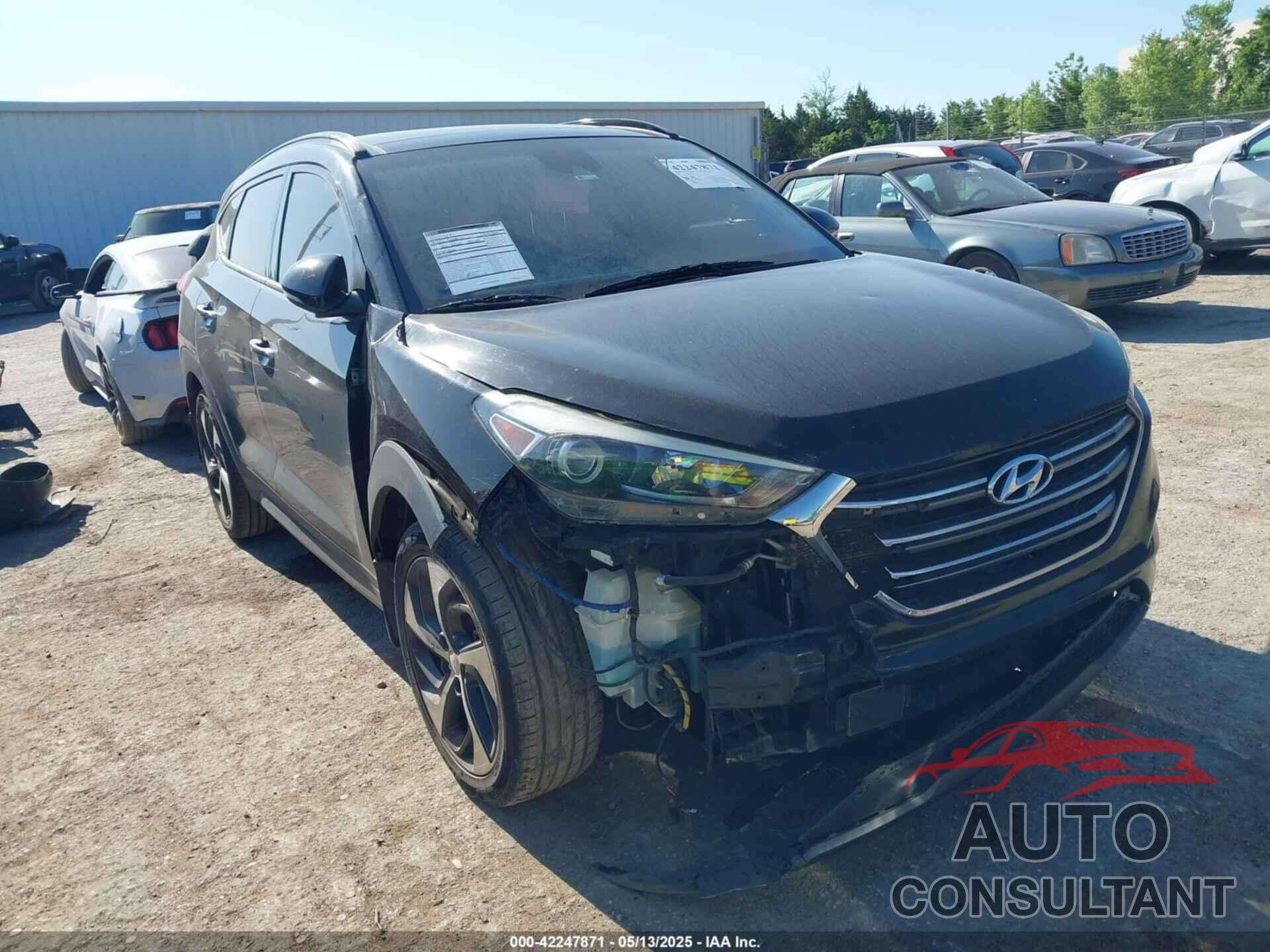 HYUNDAI TUCSON 2016 - KM8J3CA26GU045651