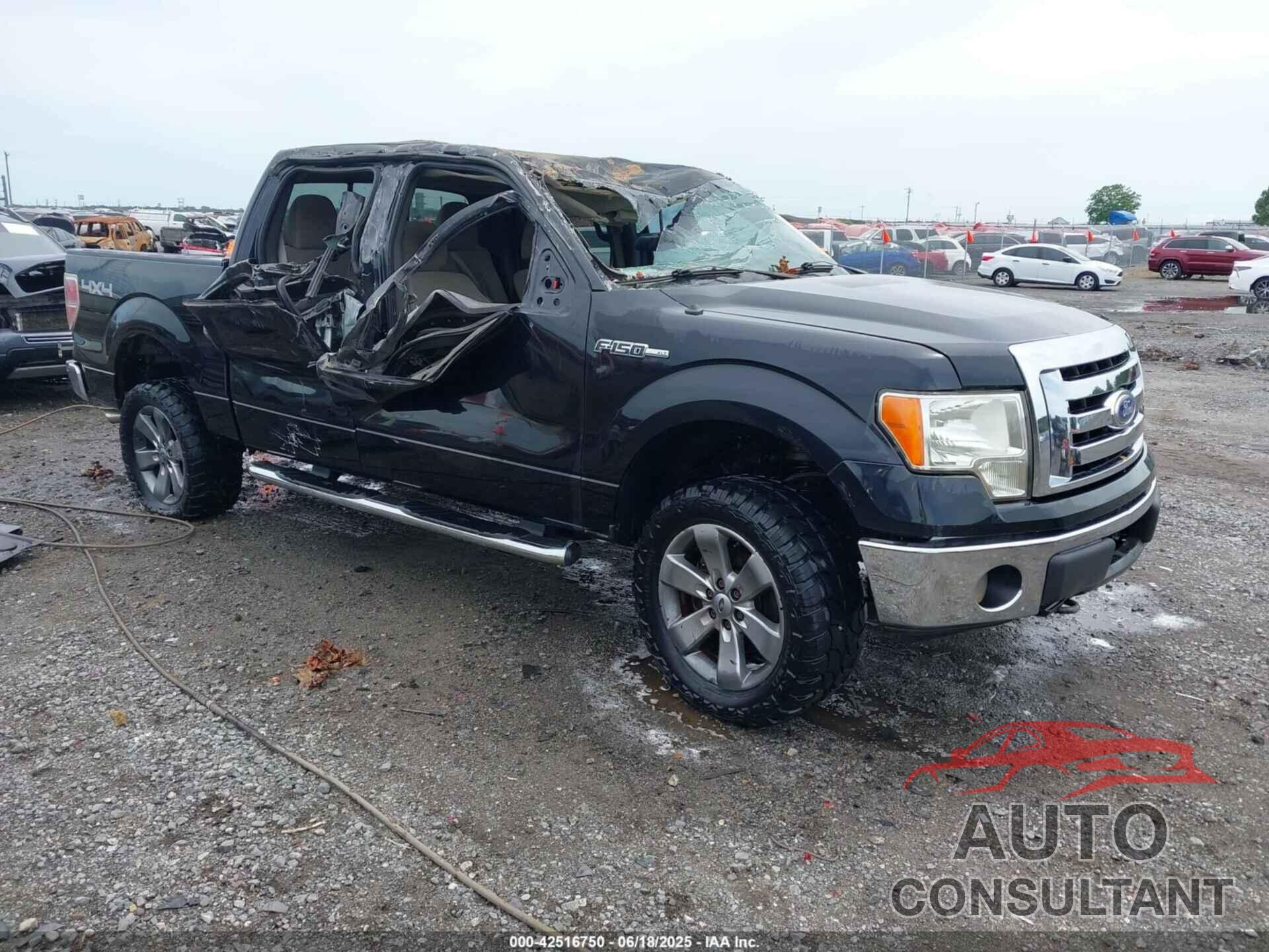 FORD F-150 2010 - 1FTFW1EV2AKA66073