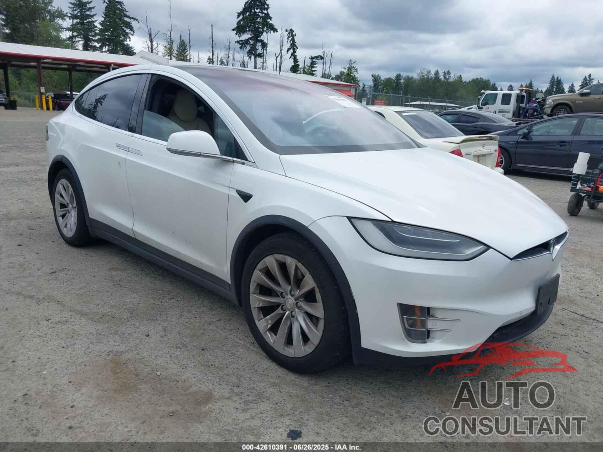 TESLA MODEL X 2019 - 5YJXCBE2XKF196321