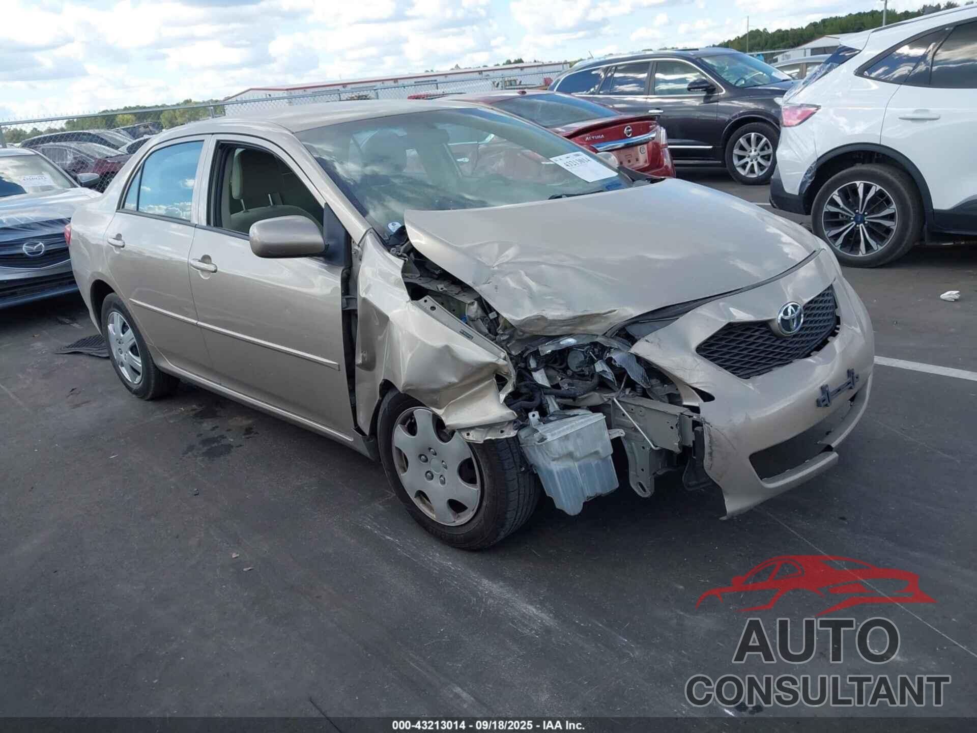 TOYOTA COROLLA 2010 - 2T1BU4EE4AC417833