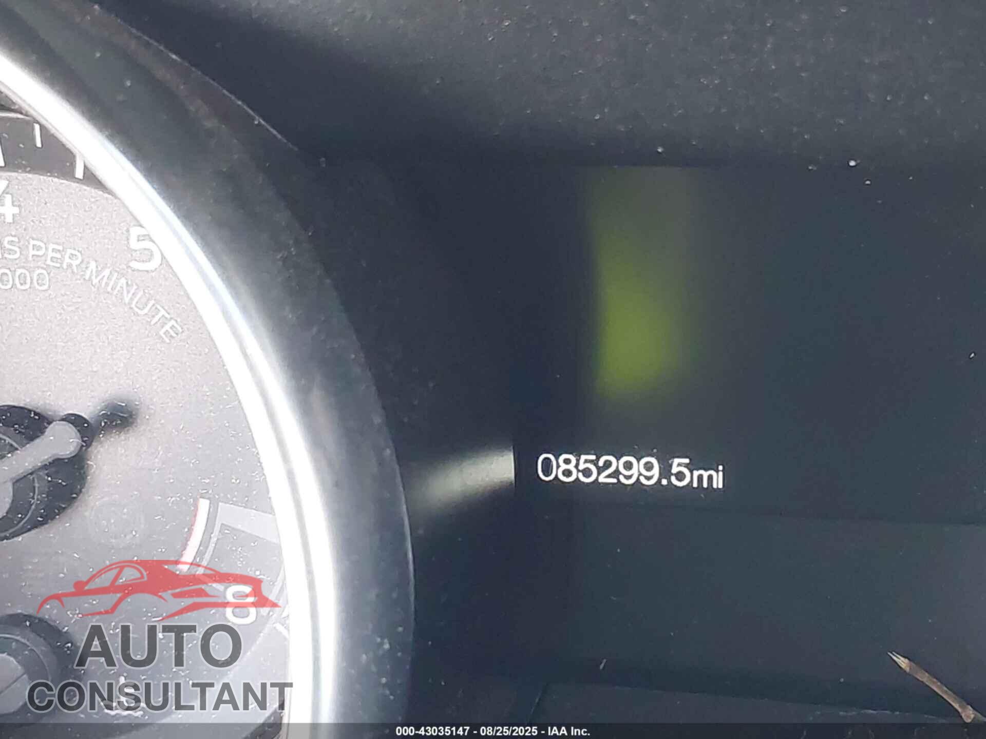 FORD MUSTANG 2019 - 1FA6P8CFXK5166560
