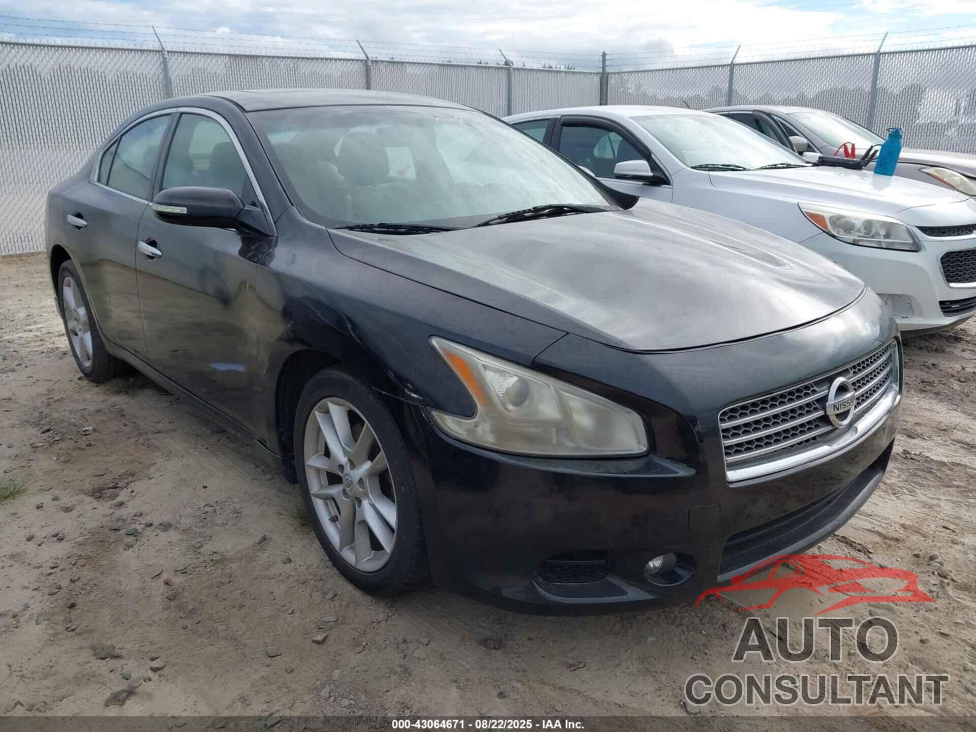 NISSAN MAXIMA 2011 - 1N4AA5AP7BC803311